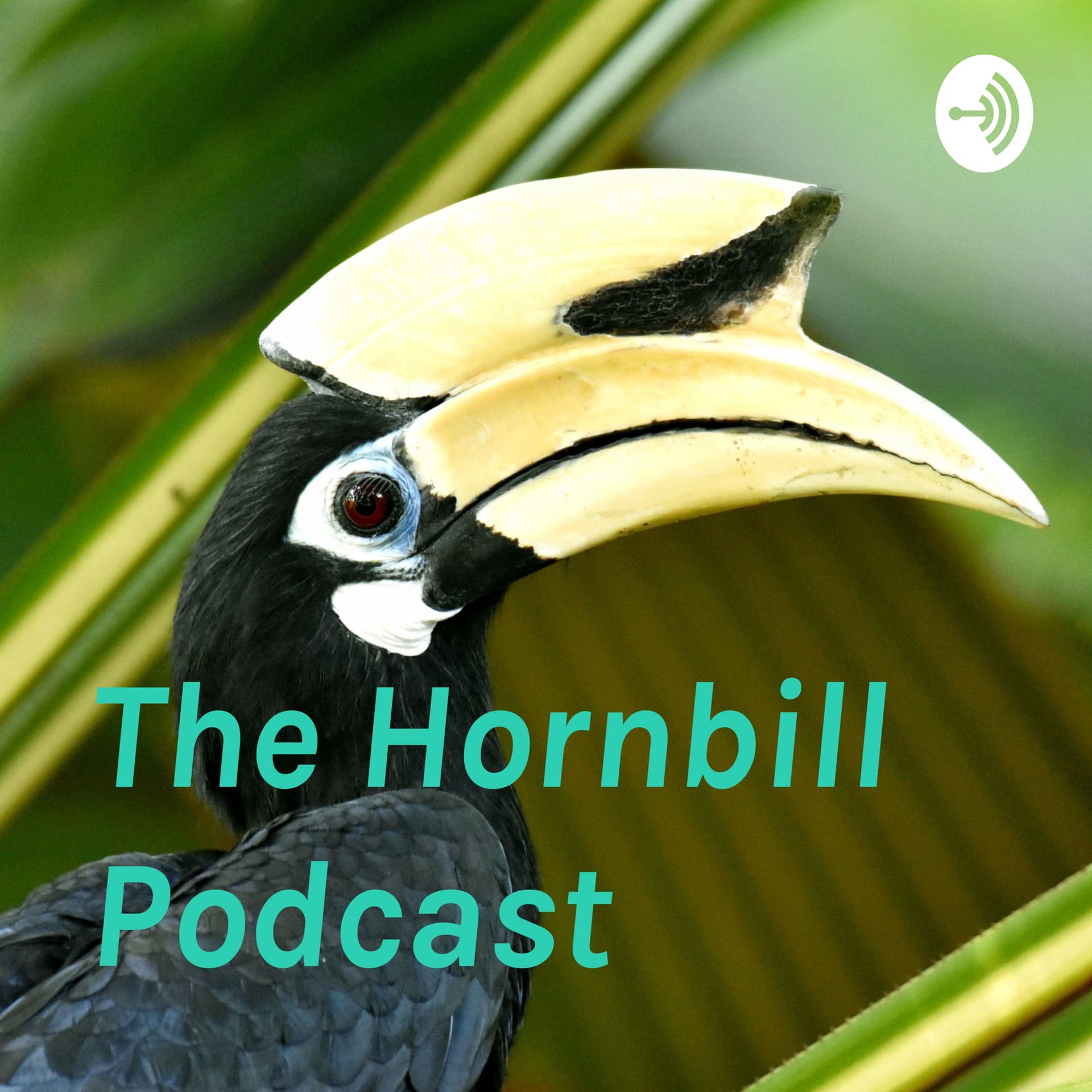 The Hornbill Podcast - Podcasts