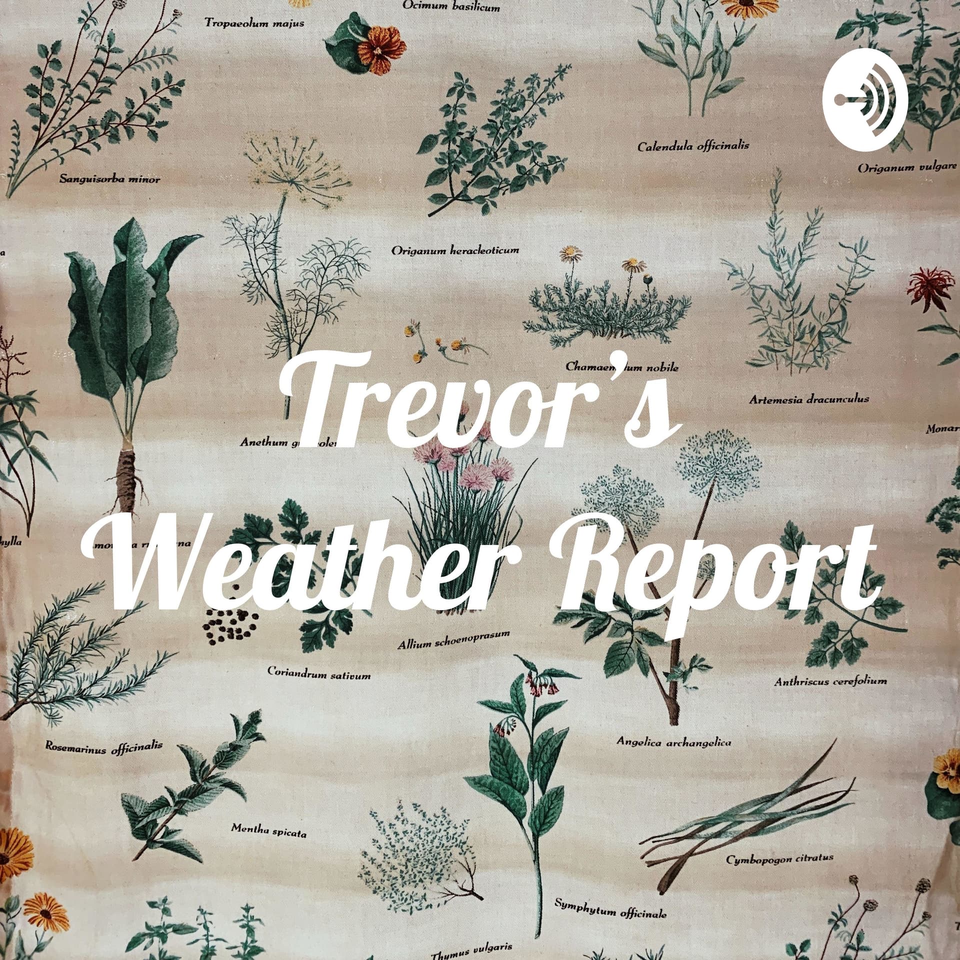 Trevor’s Weather Report - Podcasts