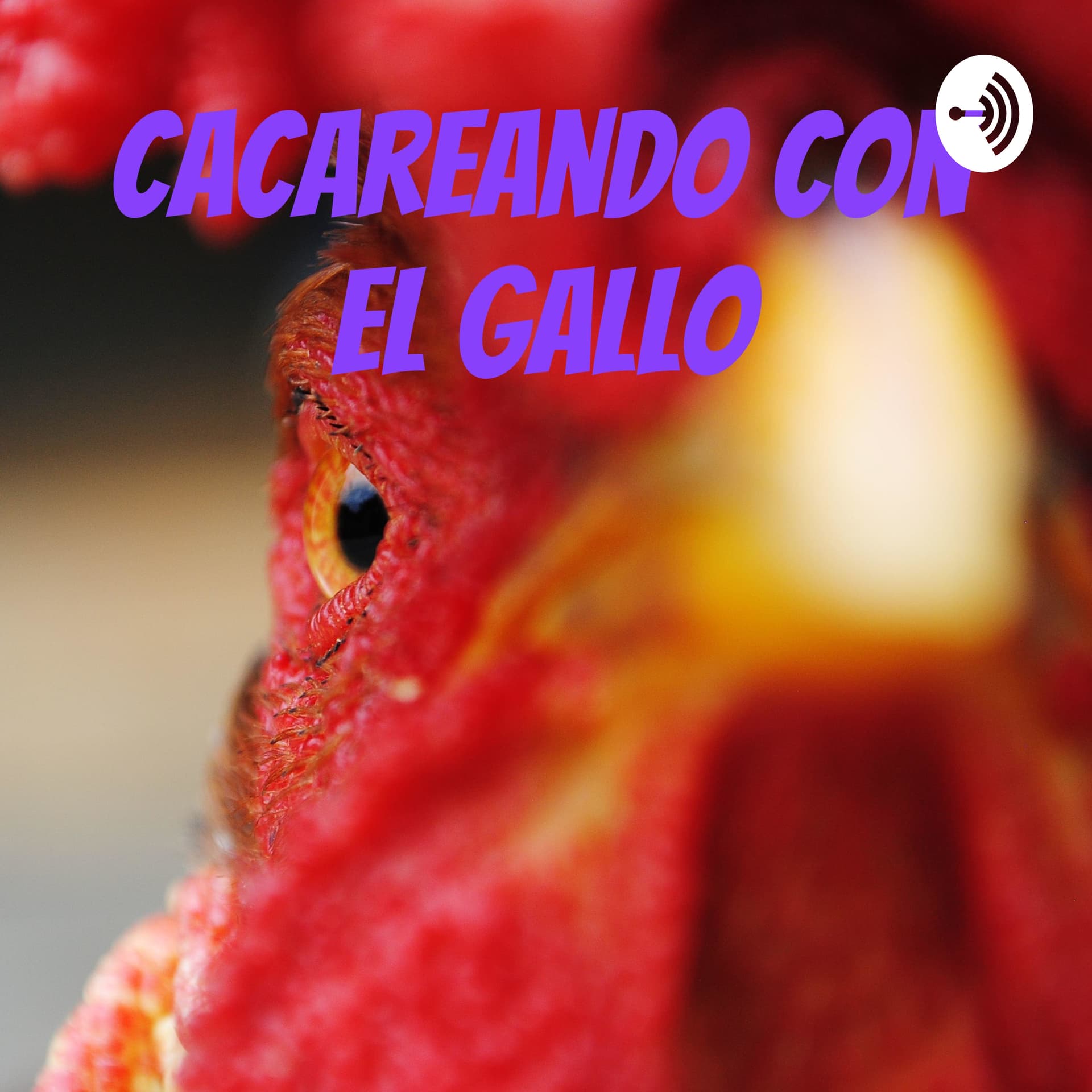Cacareando con el gallo - Podcasts