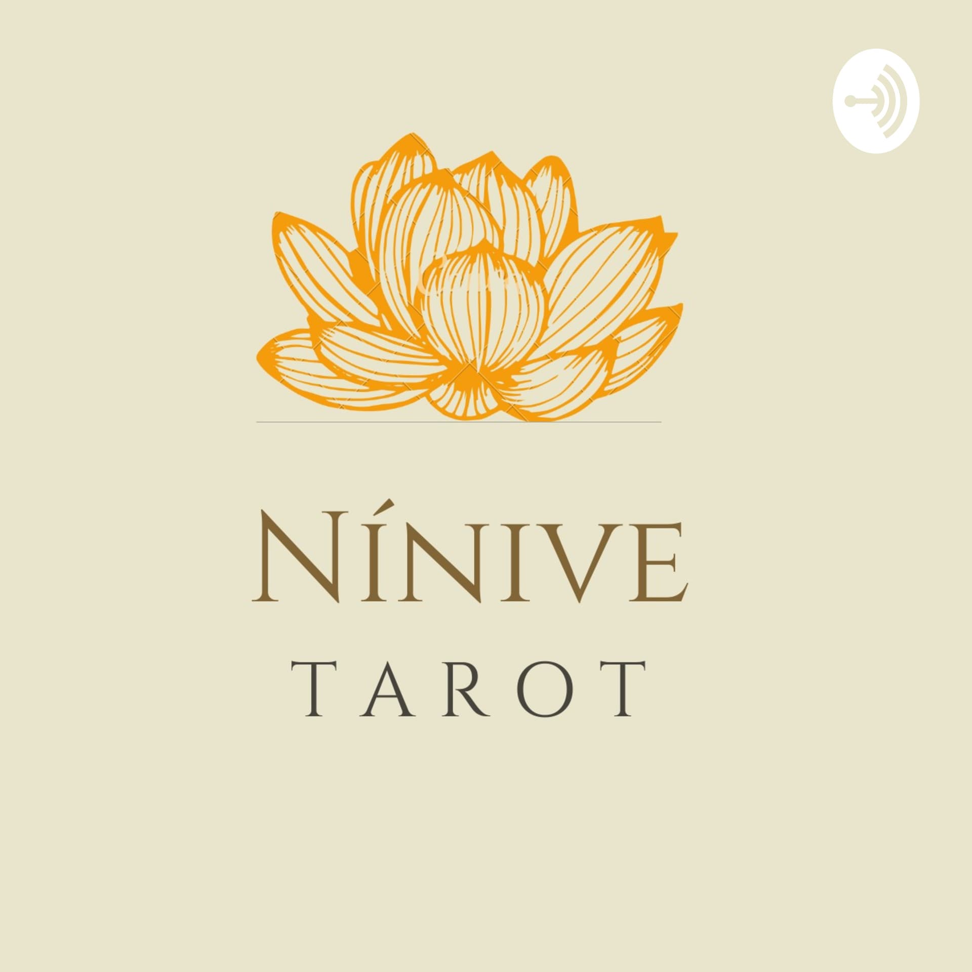 Ninive Tarot E A Carta Do Dia - Podcasts