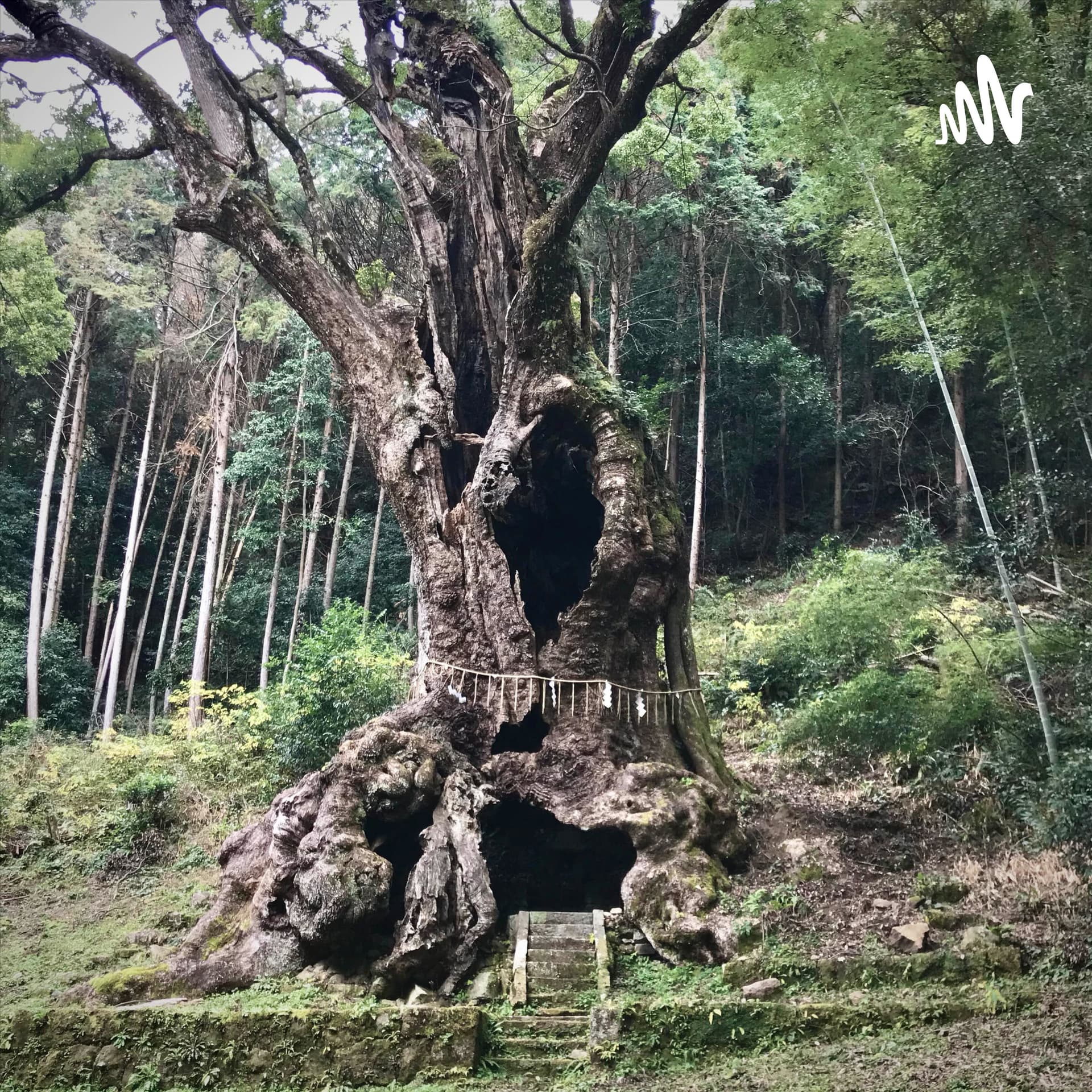 東京,佐賀&ニューヨーク - Podcasts