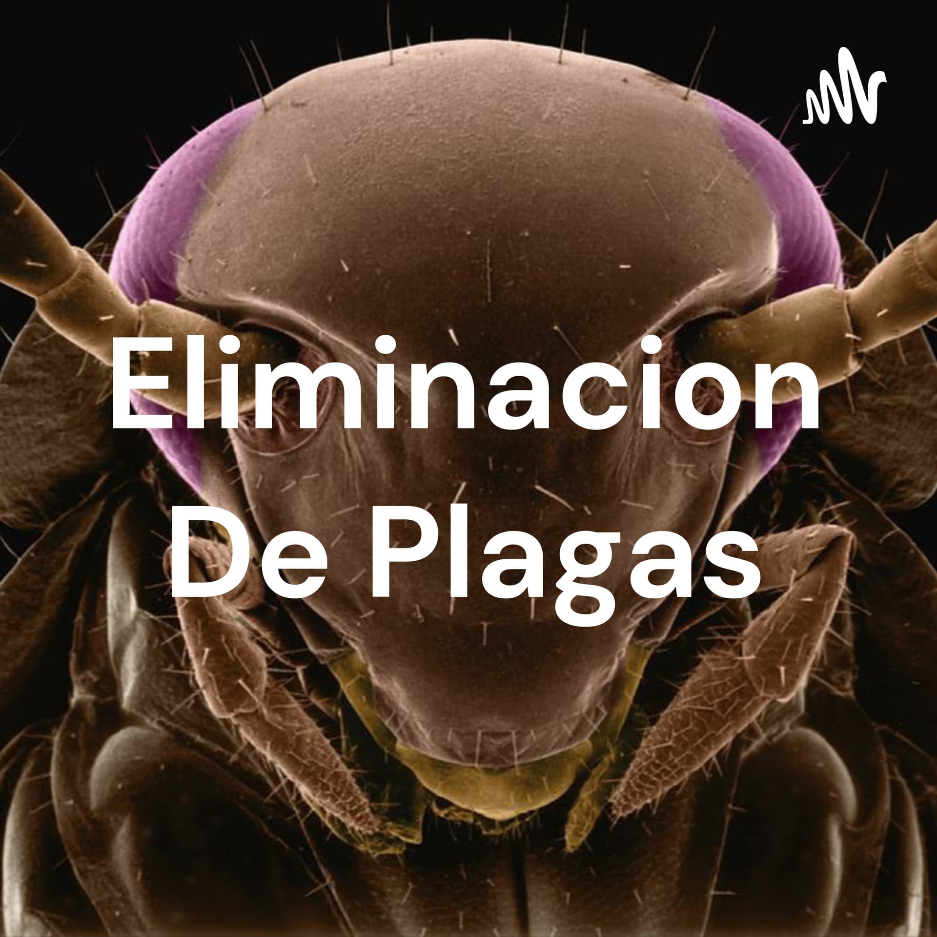 Eliminacion De Plagas - Podcasts