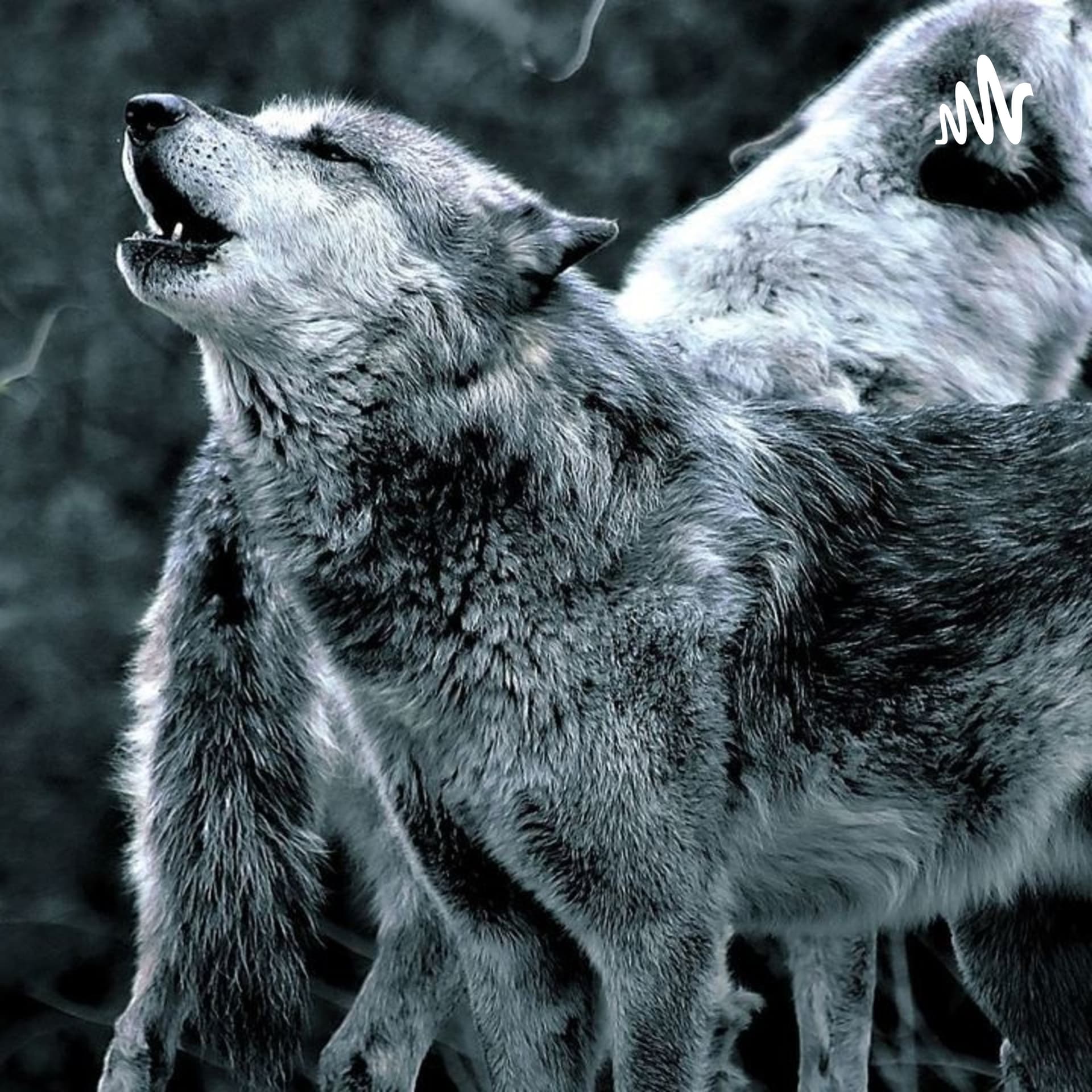 Die Wolfshöhle-Der Podcast über alles - Podcasts