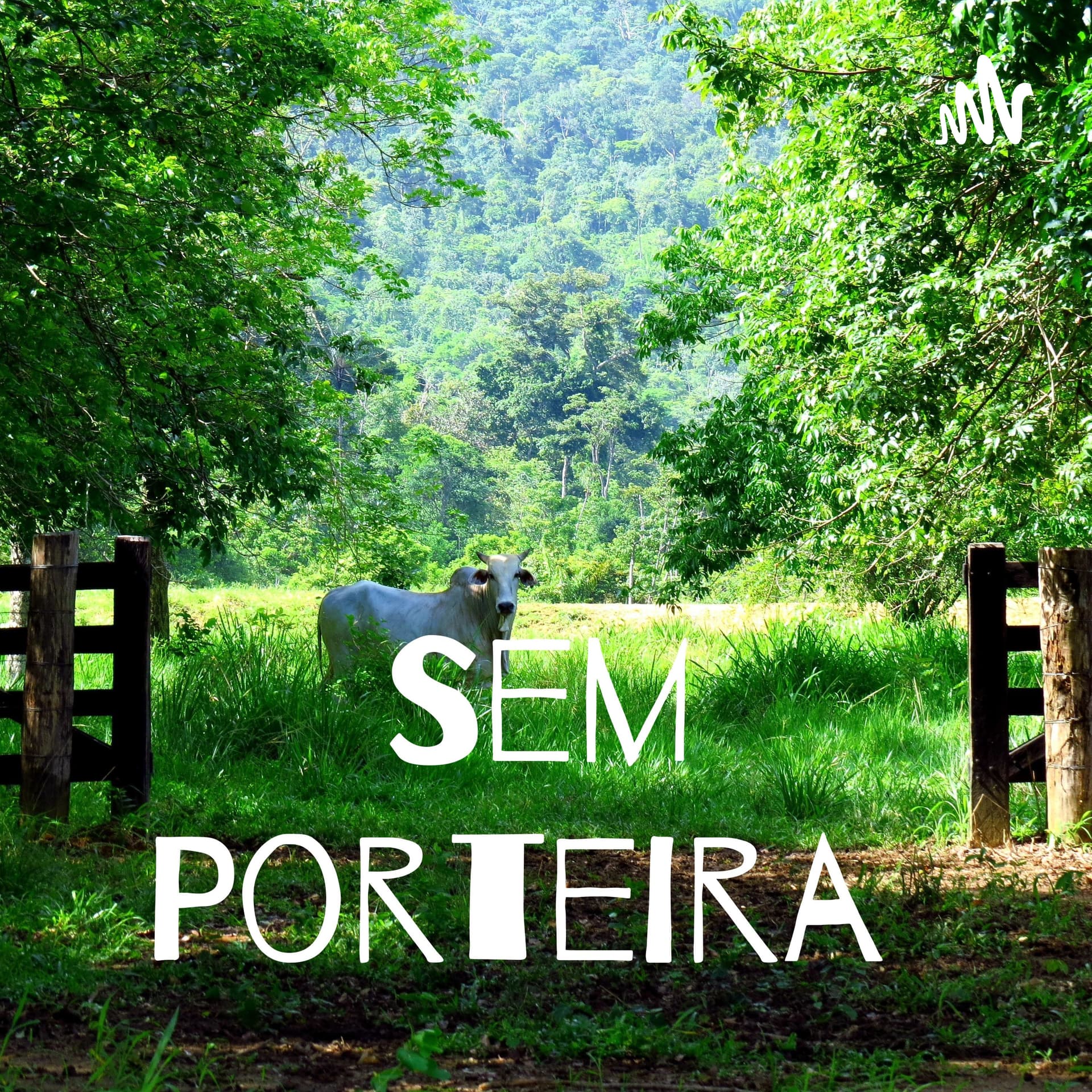 Sem Porteira - Podcasts