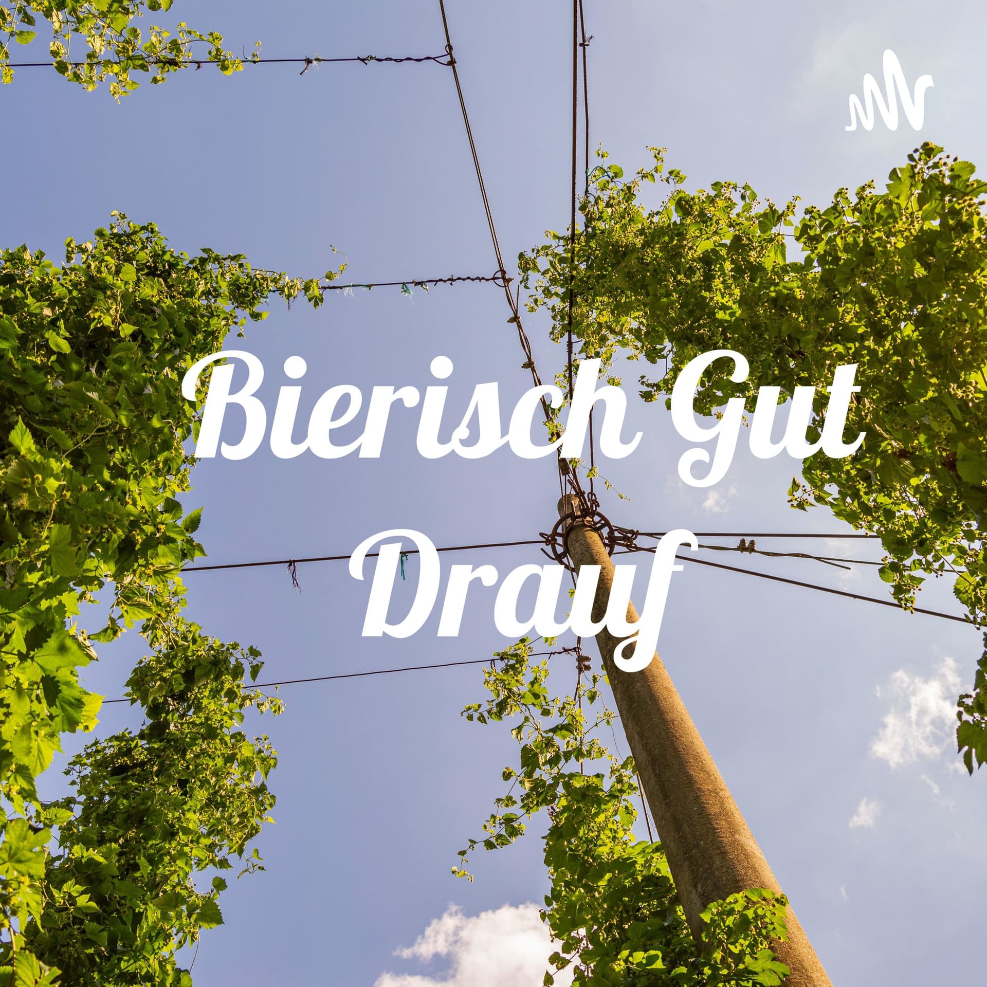 Bierisch Gut Drauf - Podcasts