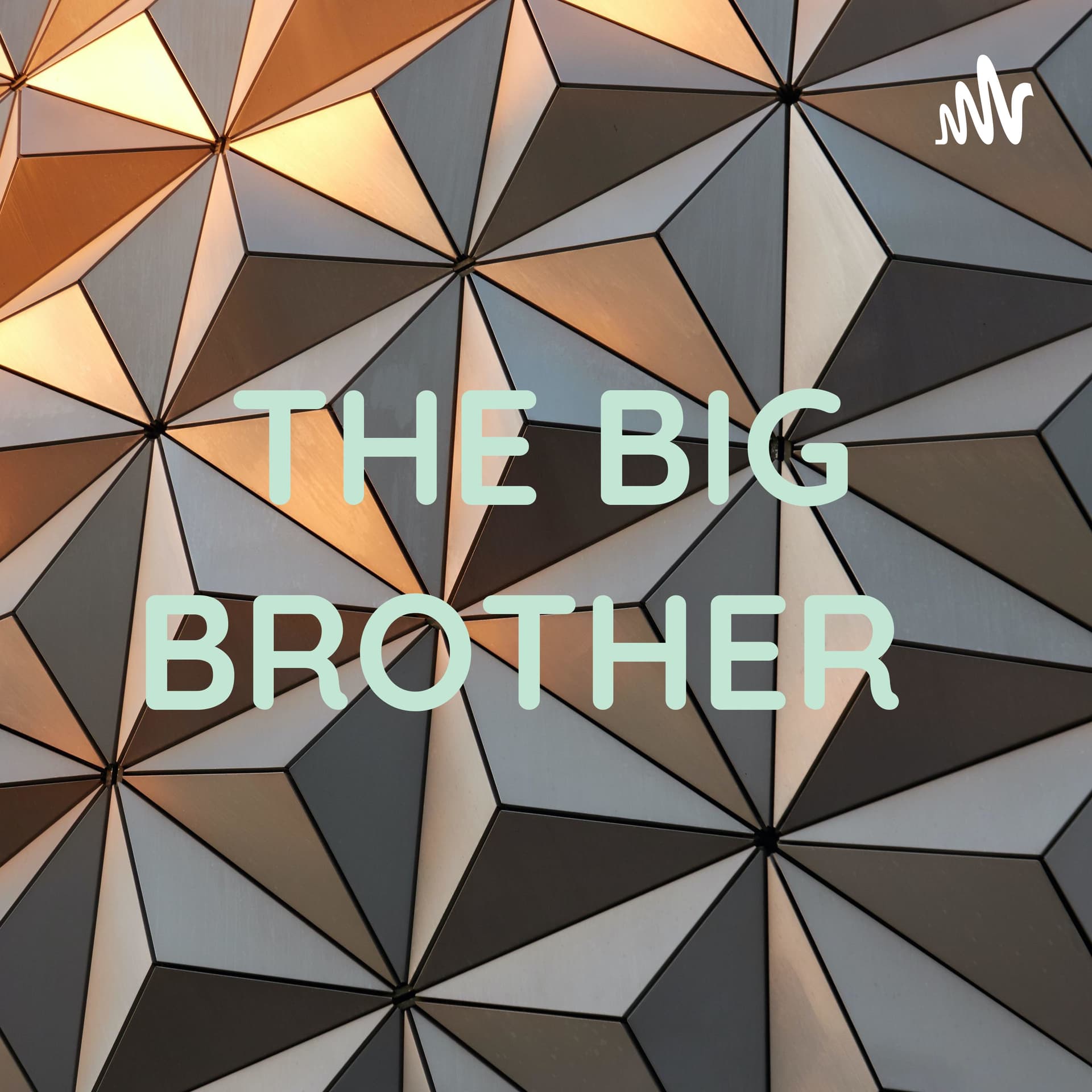 THE BIG BROTHER