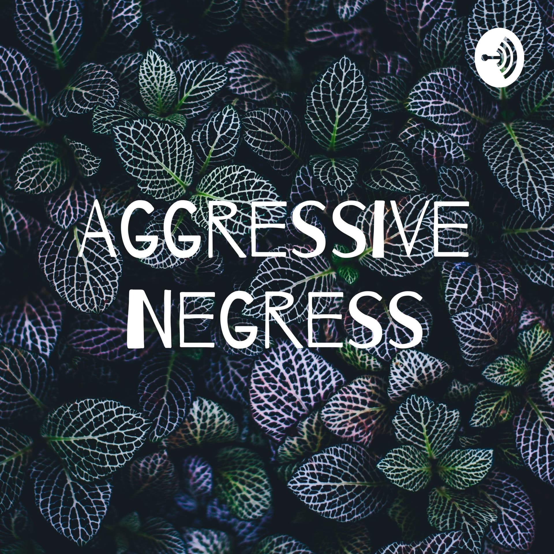 Aggressive Negress - Podcasts