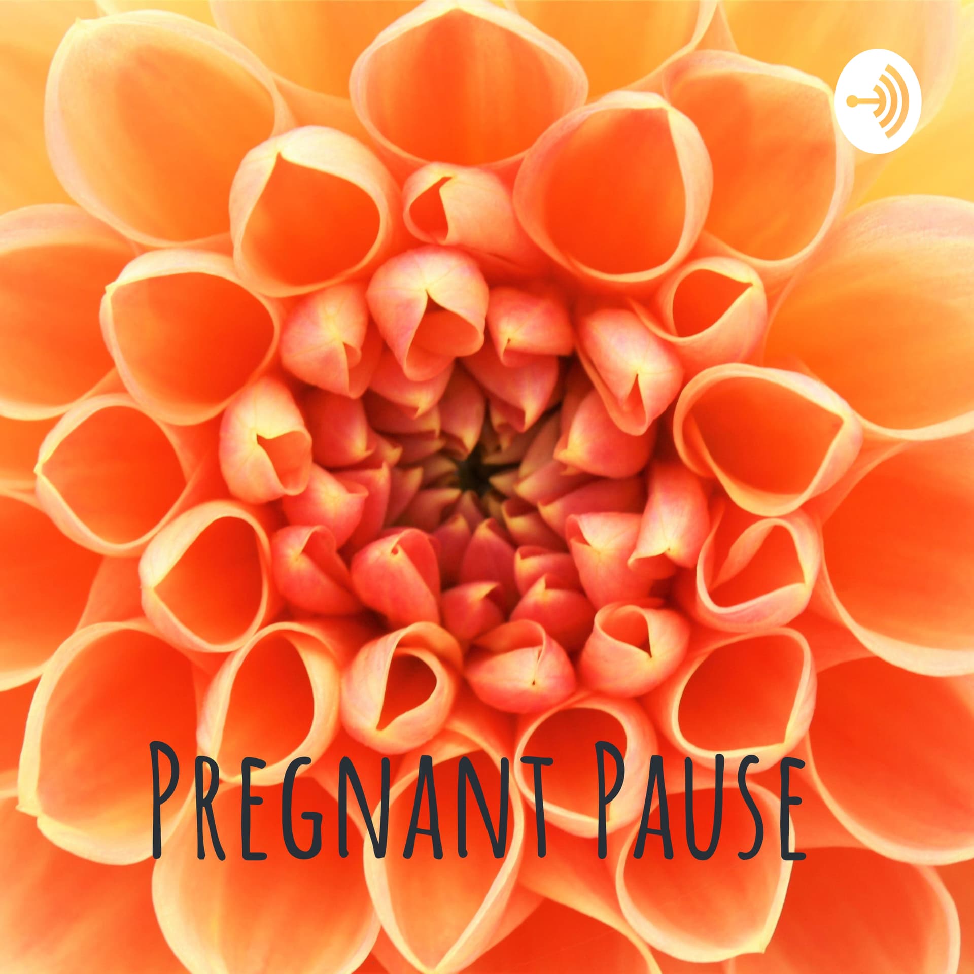Pregnant Pause - Podcasts