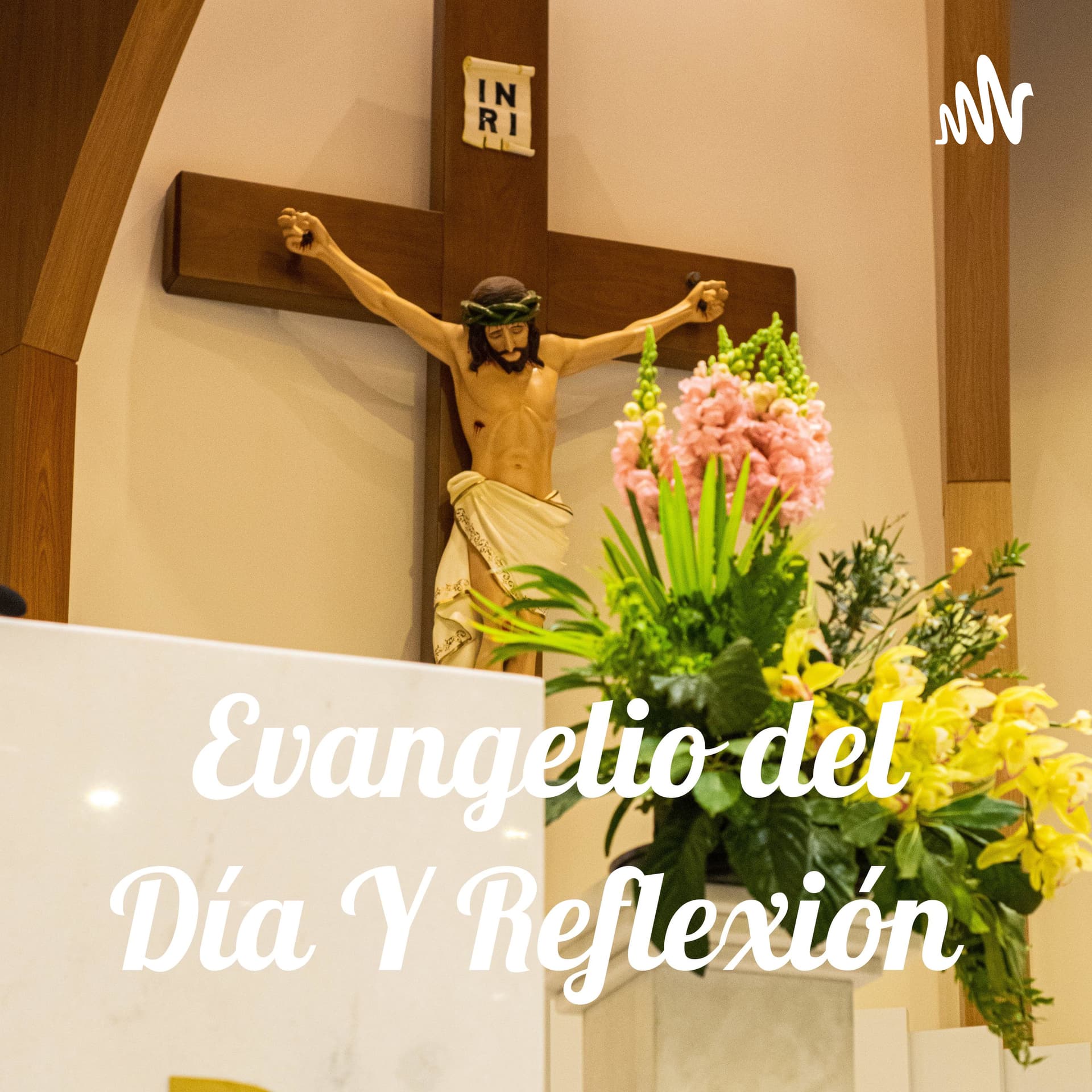 Evangelio del Día y Reflexión - Podcasts