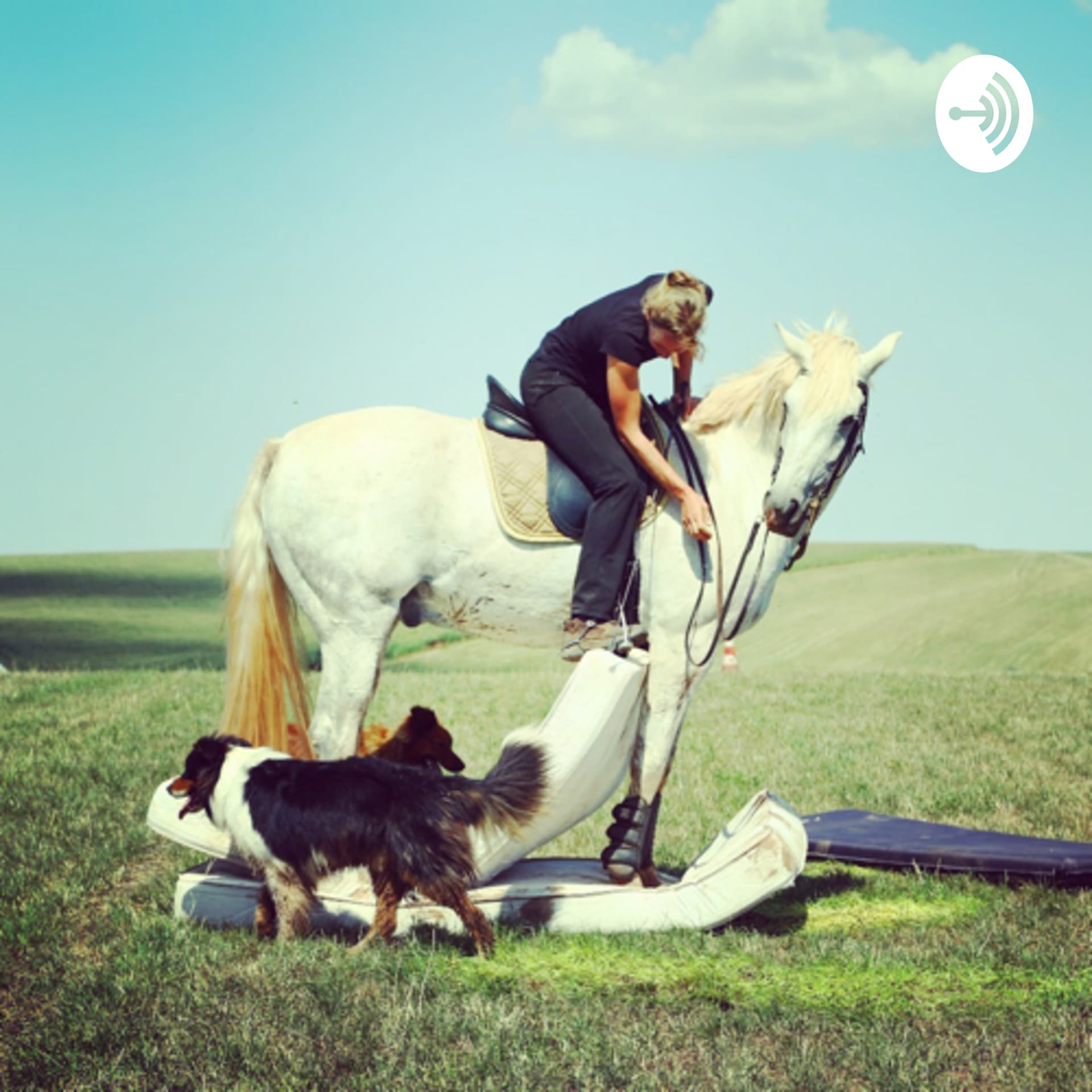 Pferdeausbildung mit Herz und Hirn - Podcasts