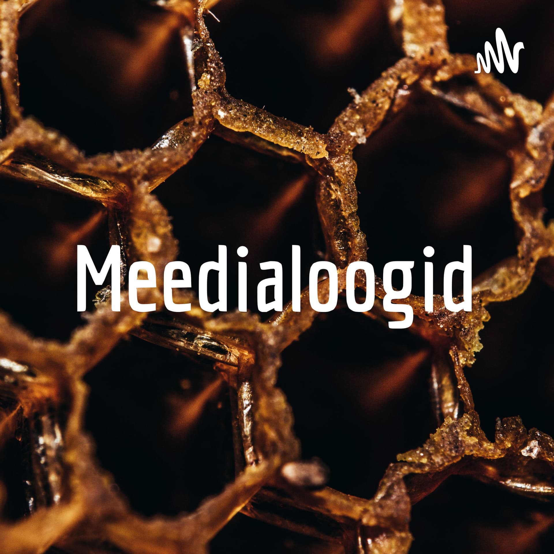 Meedialoogid - Podcasts