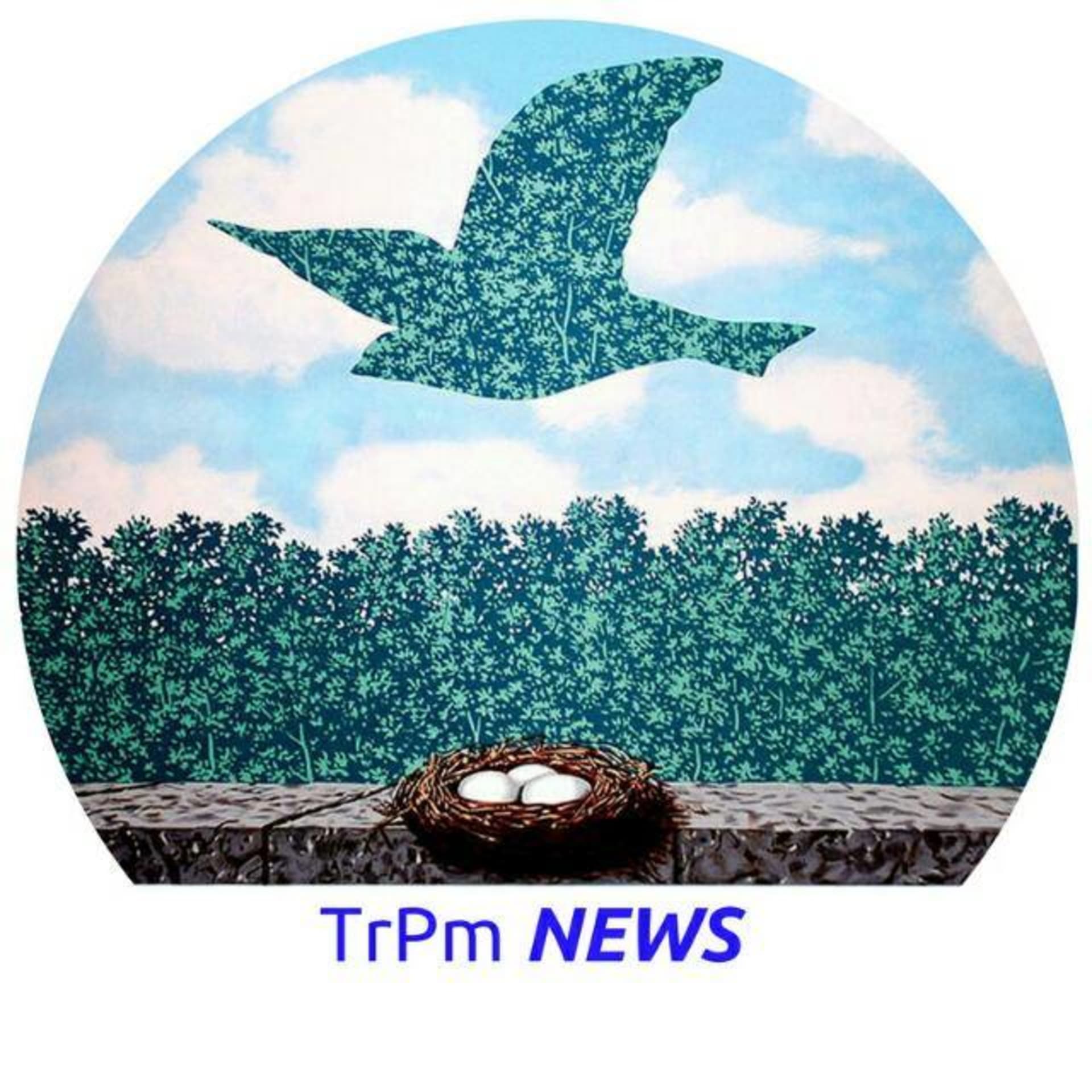 TransPsicomotricidade News - Podcasts