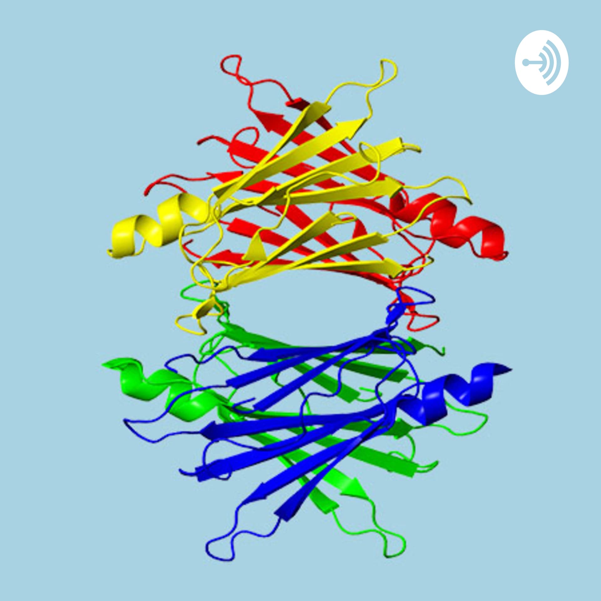 Amiloidose Dante - Podcasts