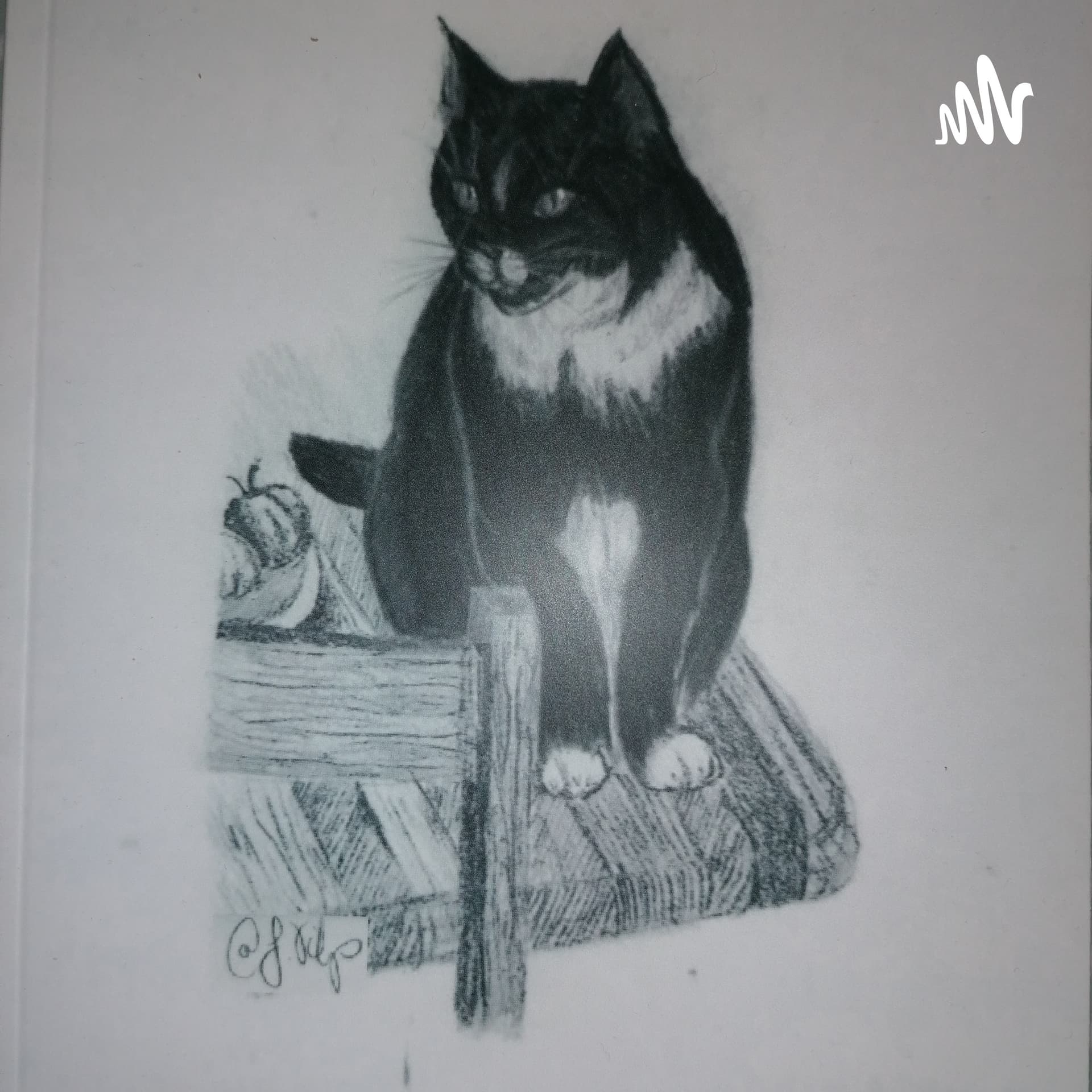 Mitsanfterhand - Podcasts