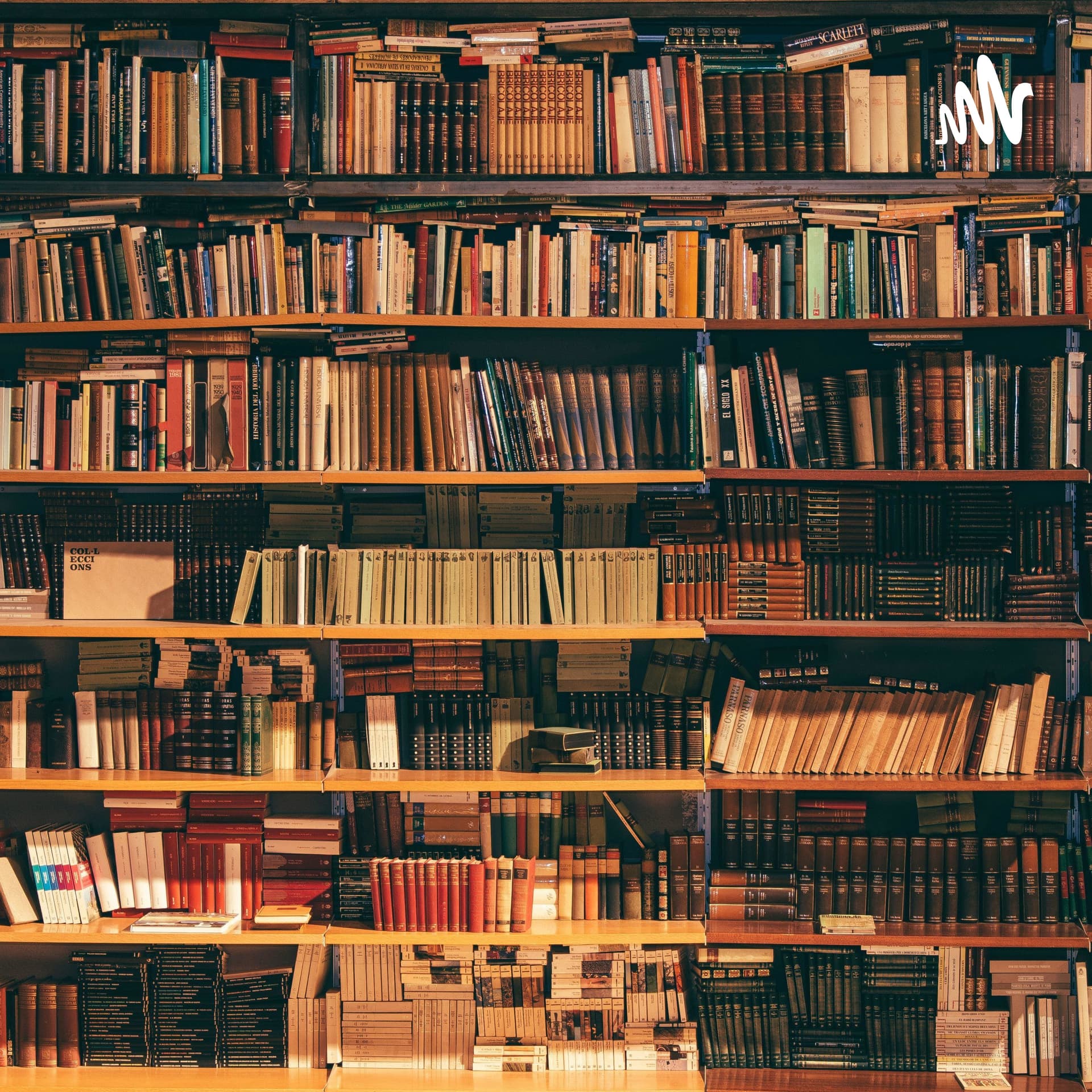 Amor aos Livros - Podcasts