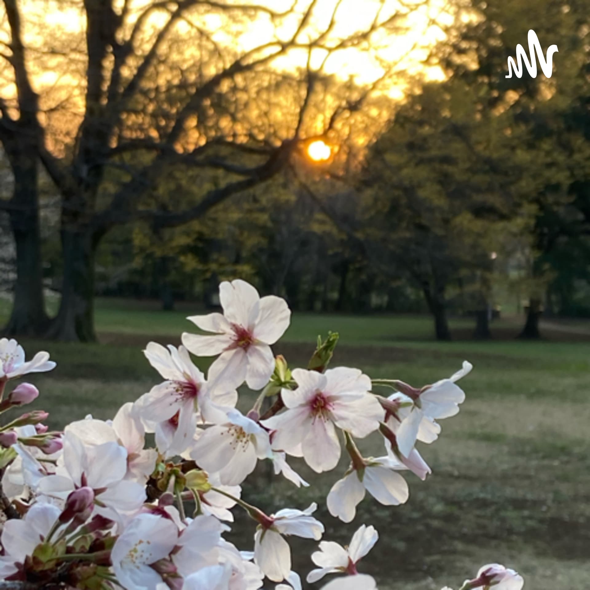 Nahid Persian پادکست فارسی از ژاپن - Podcasts