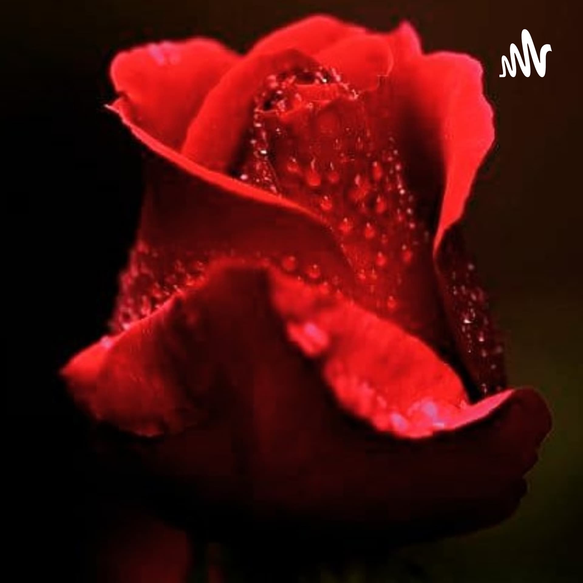 Allah Dostları için Sohbetler - Podcasts