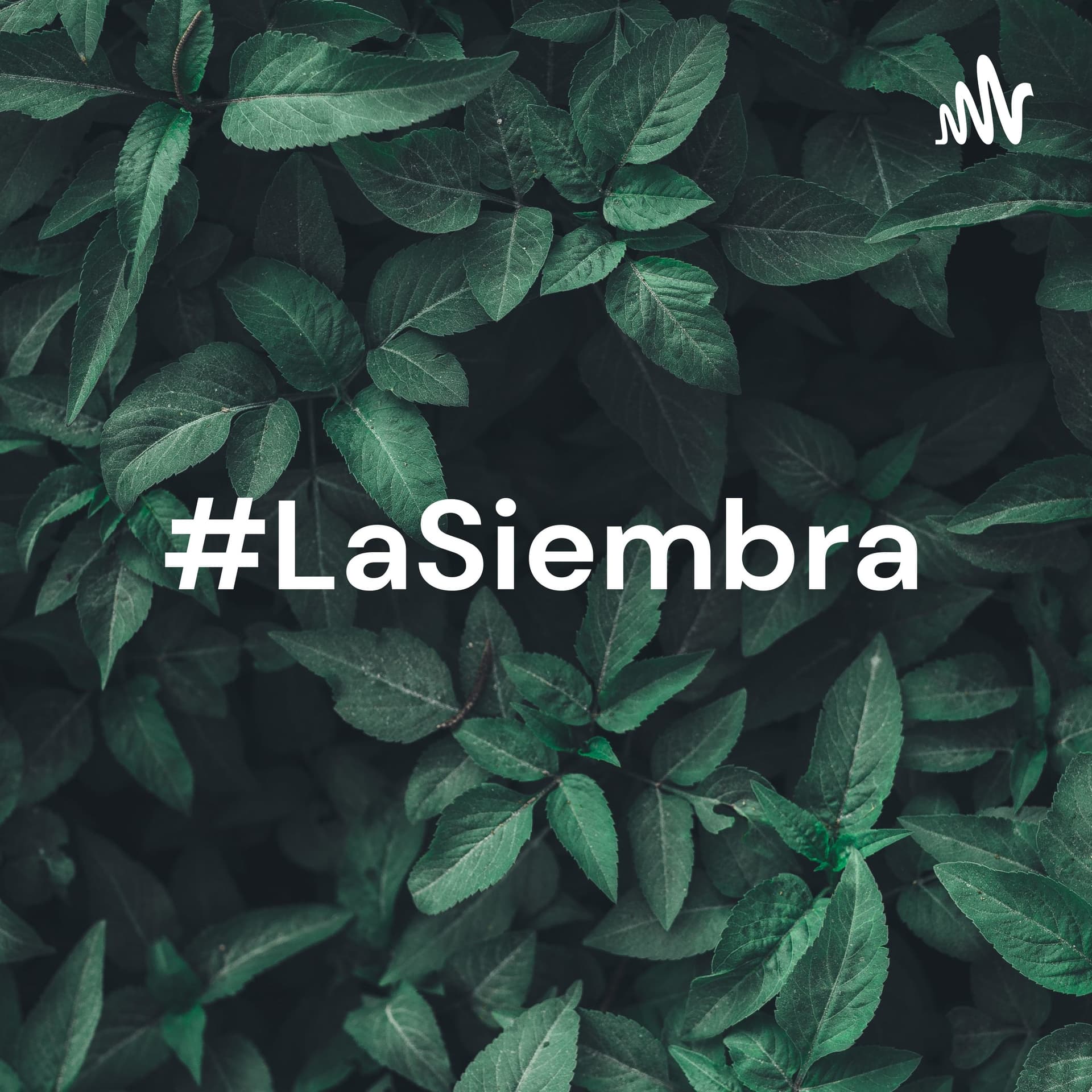 #LaSiembra: emprendimiento, medio ambiente y noticias de actualidad nacional e internacional. - Podcasts