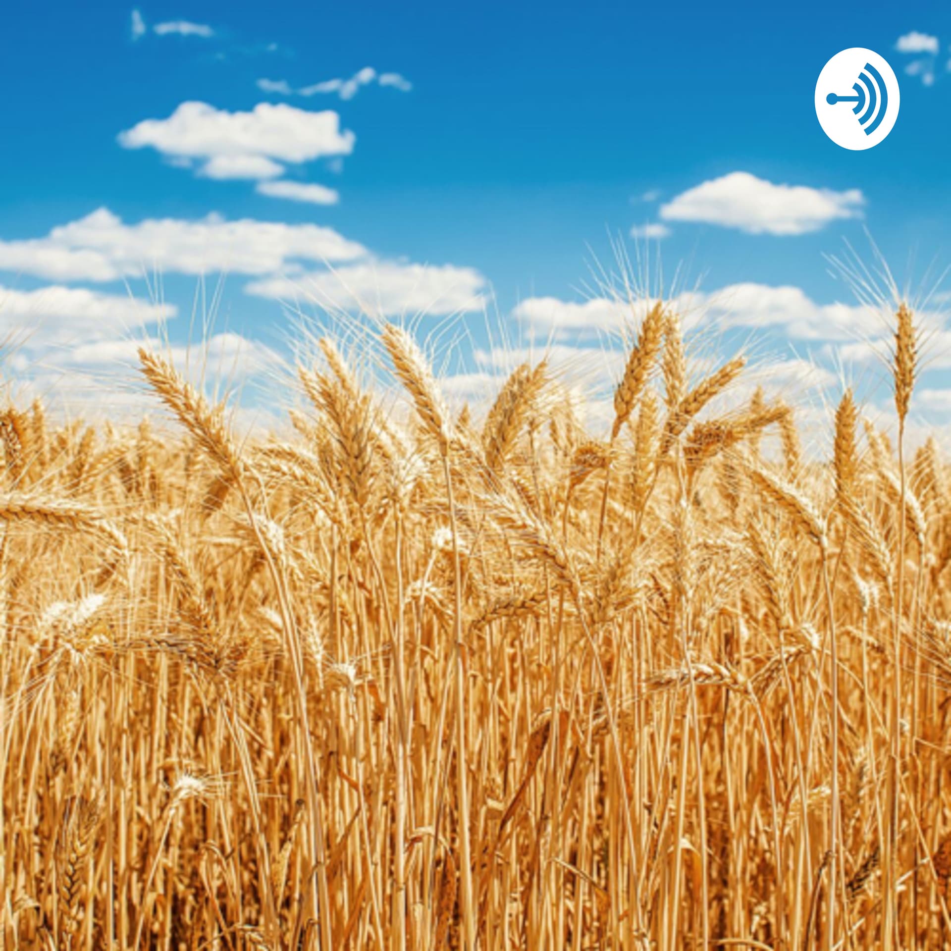 TALL TALES UNCOVERED - Podcasts