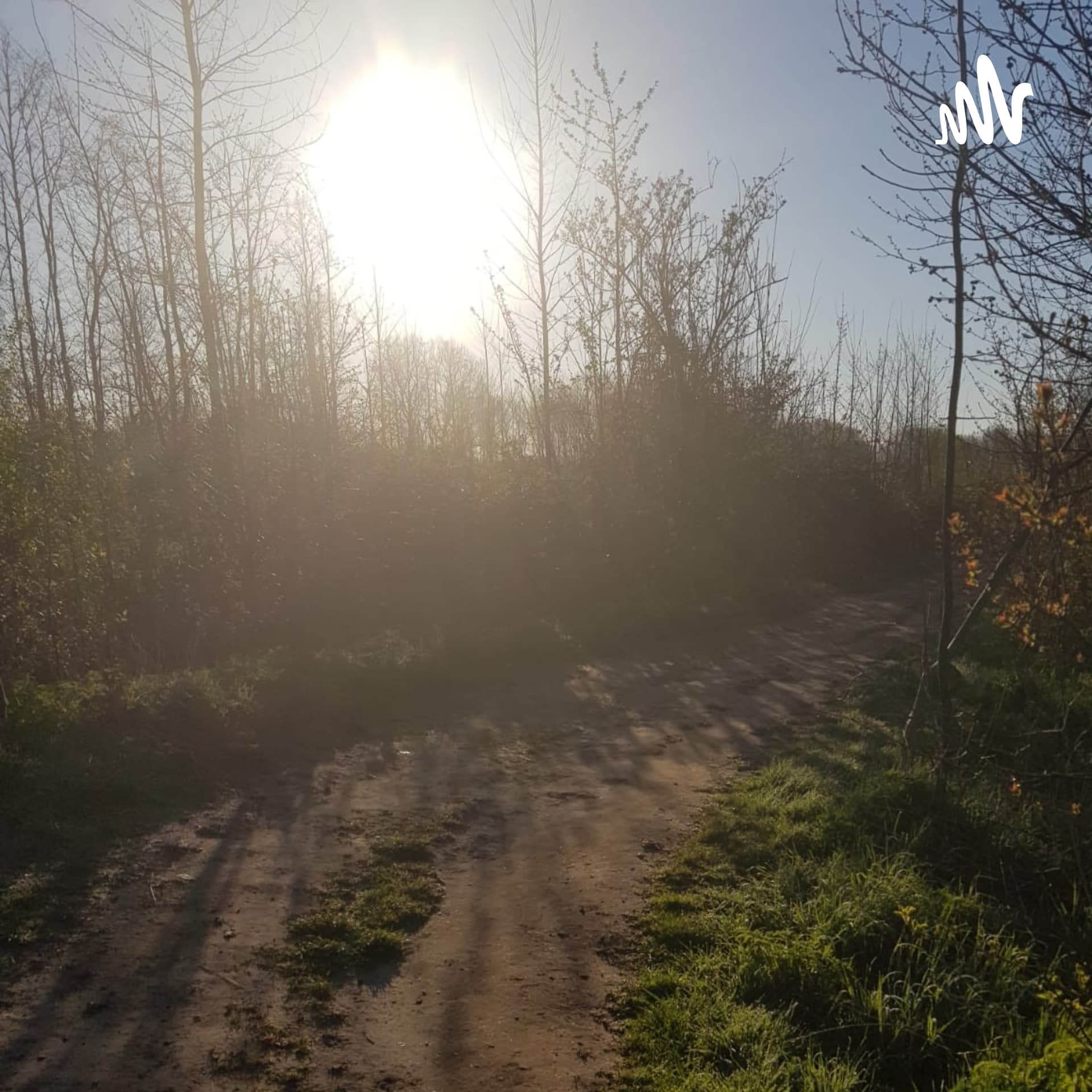 Geleide Meditaties Podcast Met Kees Schilder - Podcasts