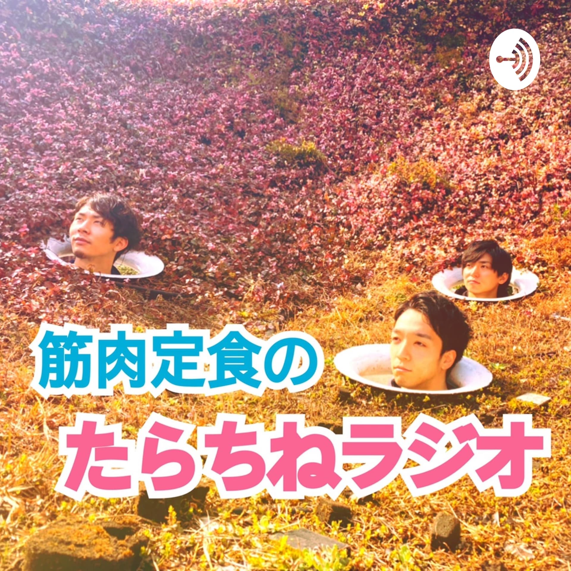 筋肉定食のたらちねラジオ - Podcasts