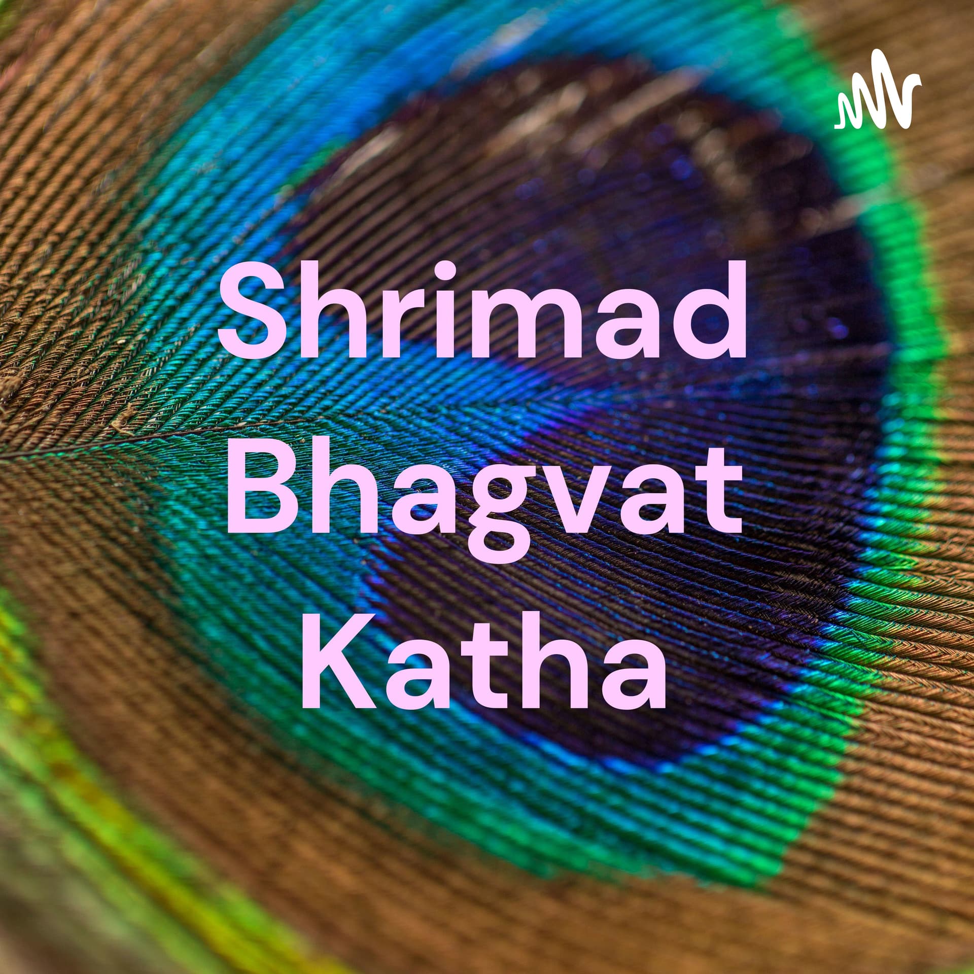 Shrimad Bhagvat Katha - Podcasts