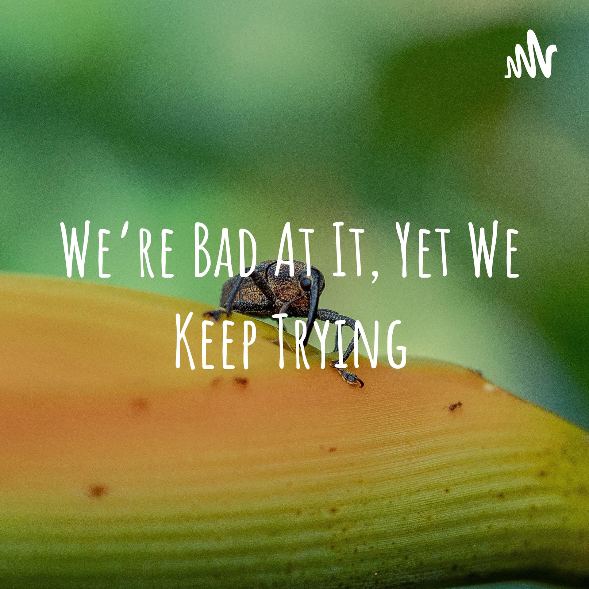 We're Bad At It, Yet We Keep Trying - Podcasts