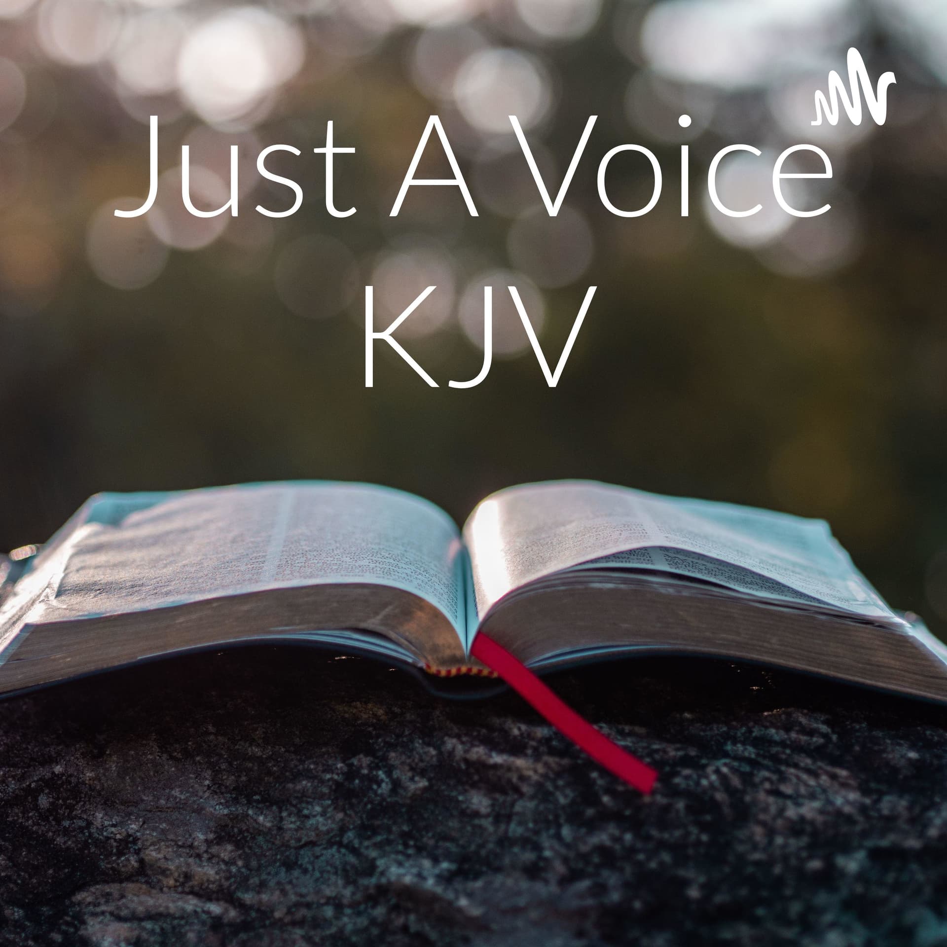 Just A Voice KJV - Podcasts