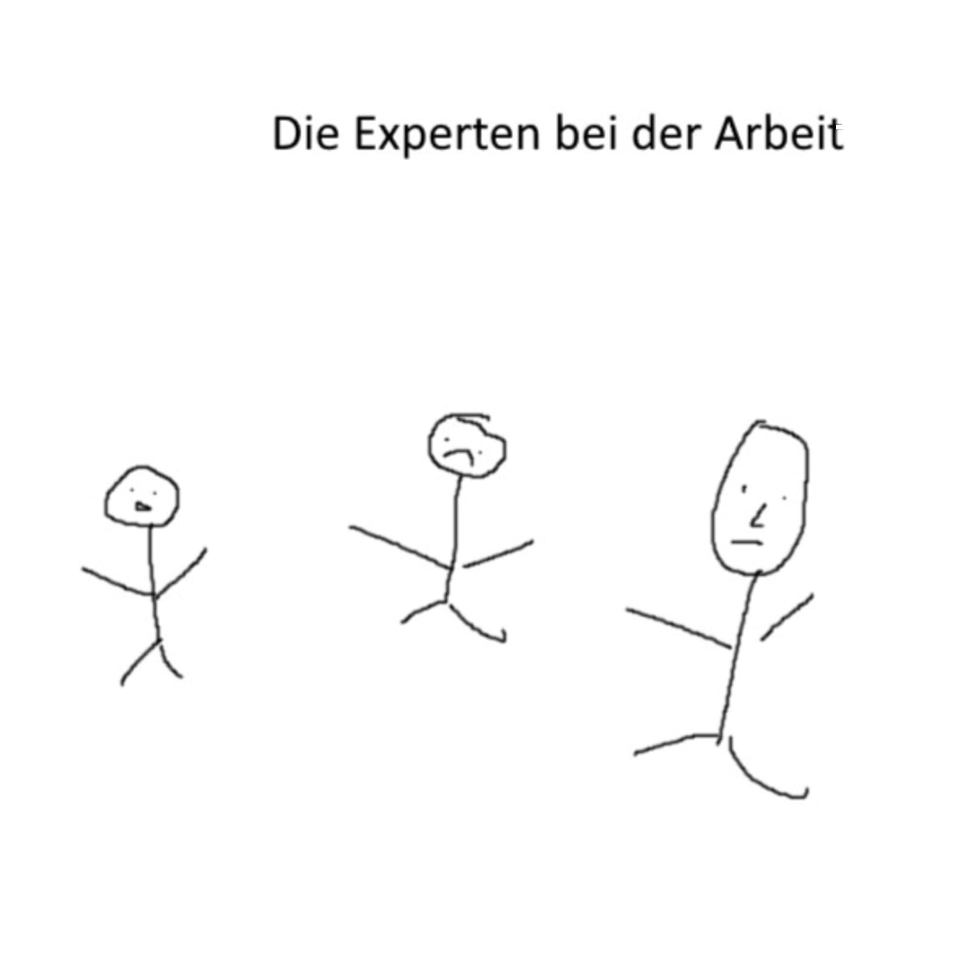 Die Experten bei der Arbeit - Podcasts