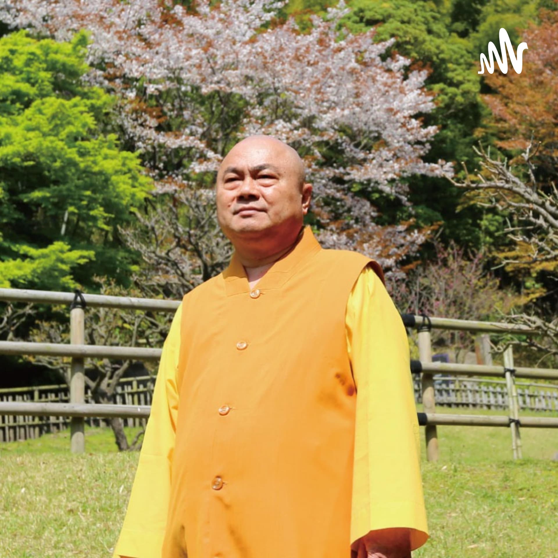 慧律法師 - Podcasts