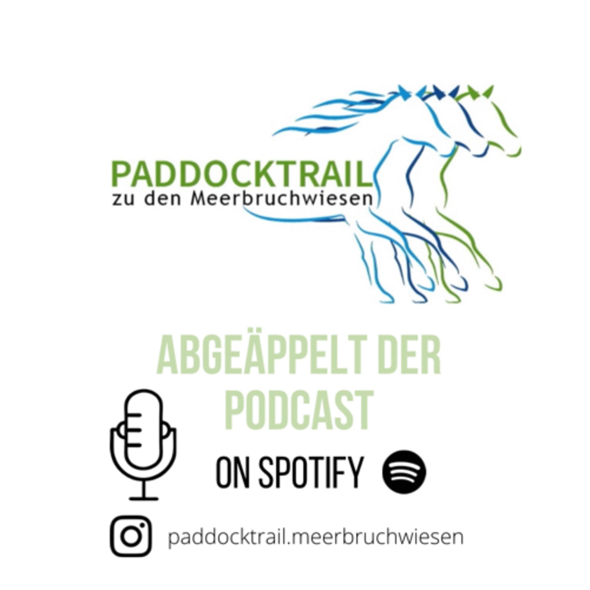 Ab-geäppelt der Podcast - Podcasts