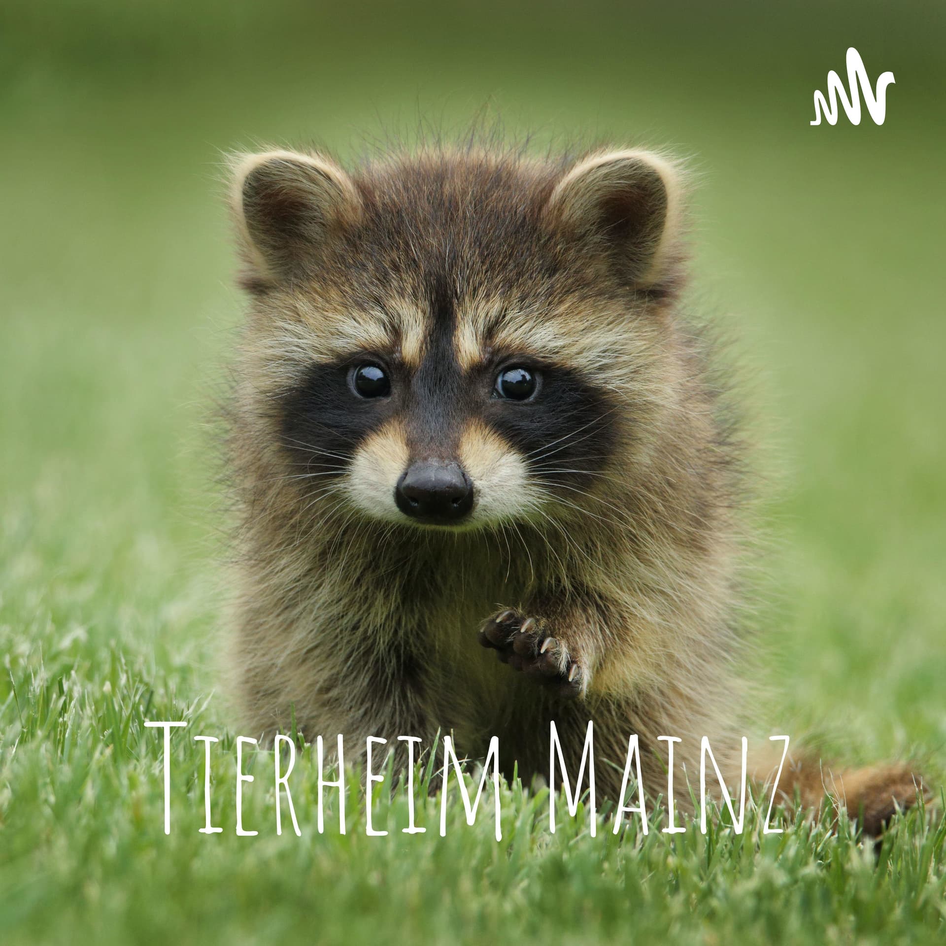 Tierheim Mainz, der Podcast. - Podcasts