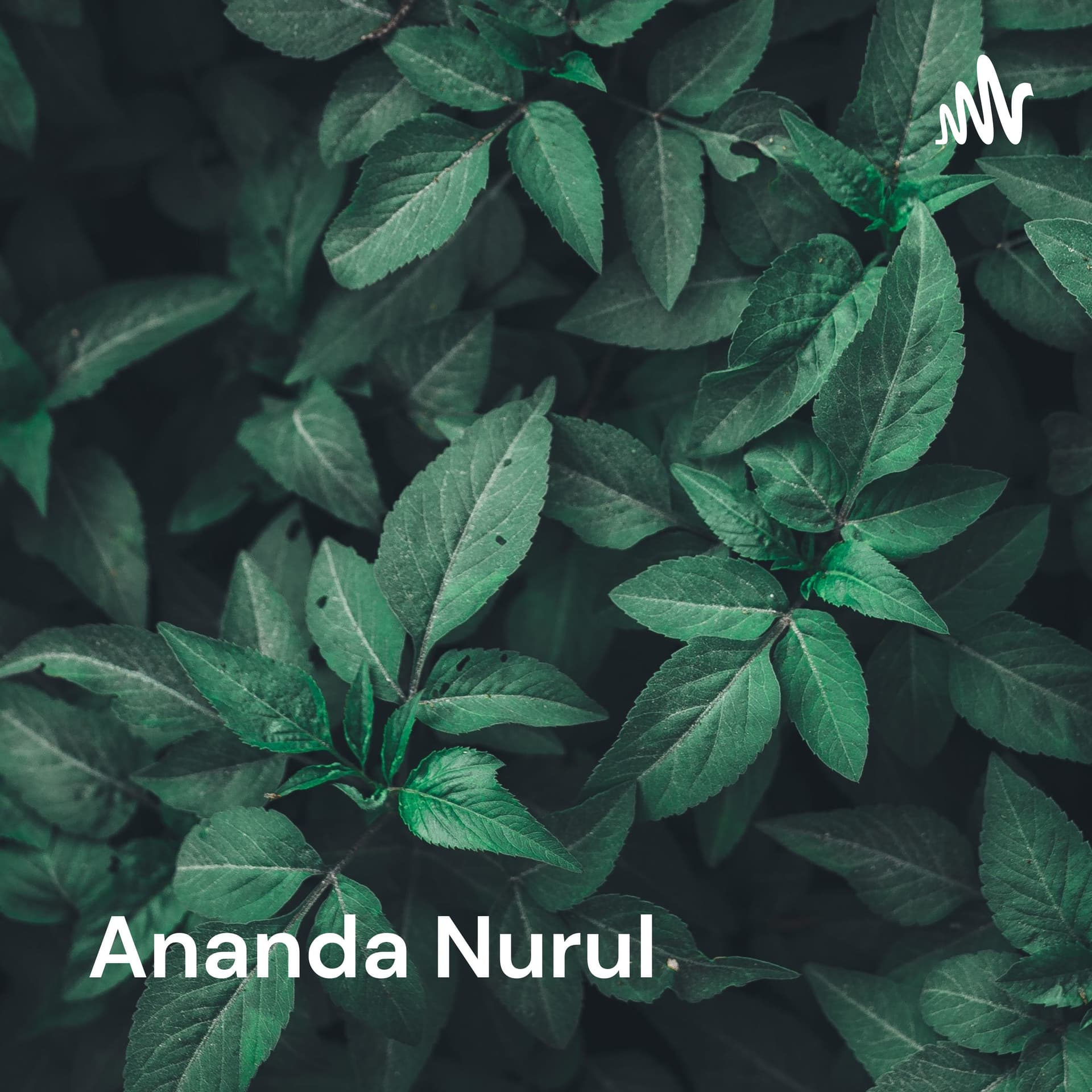 Ananda Nurul - Kecanggihan Teknologi Digital menggerus tatanan identitas Nasional - Podcasts