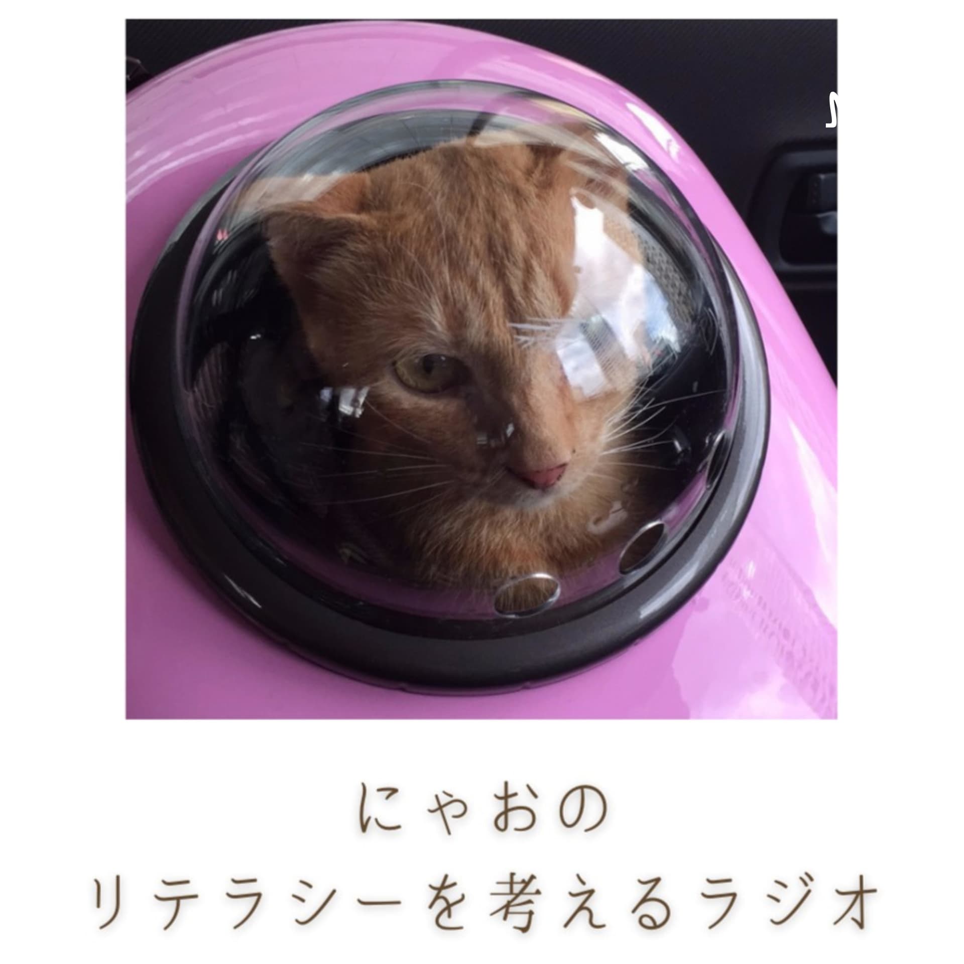 にゃおのリテラシーを考えるラジオ - Podcasts