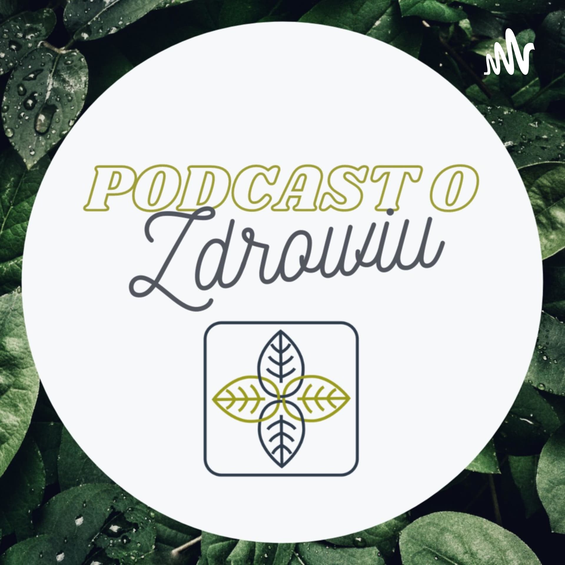 Podcast o Zdrowiu - Podcasts