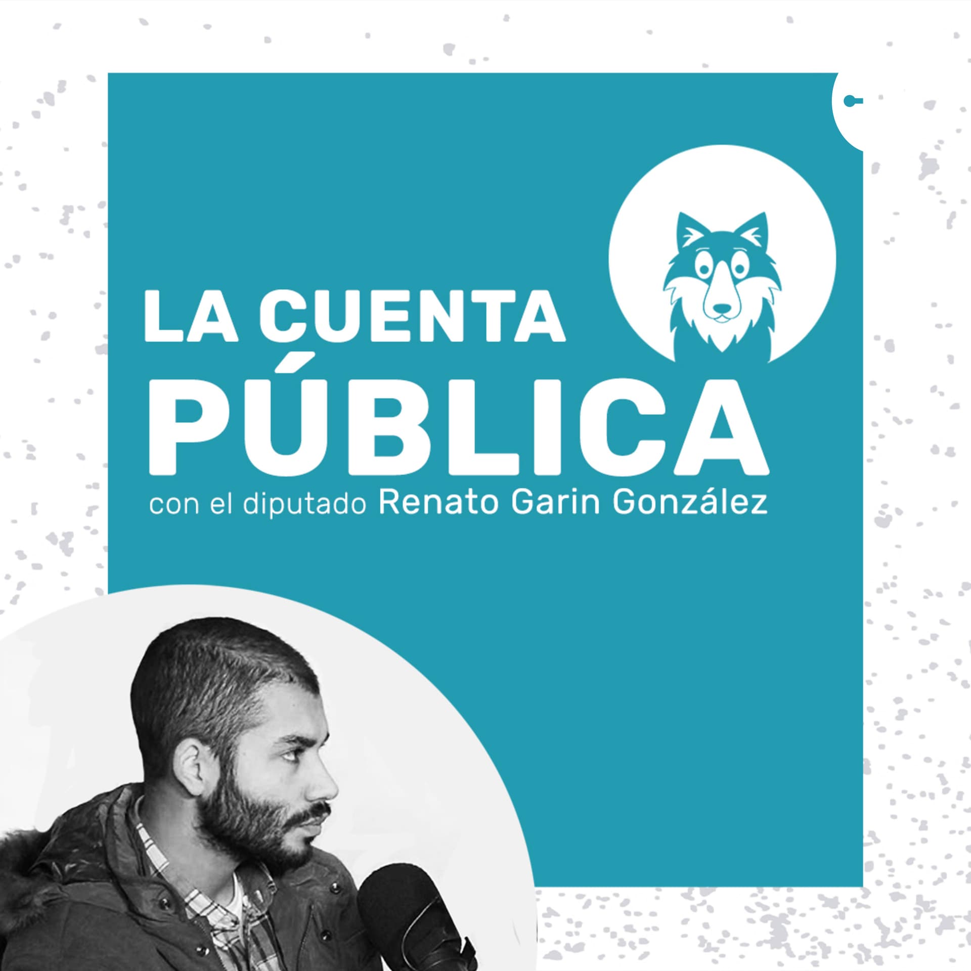 La Cuenta Pública de Renato Garin - Podcasts
