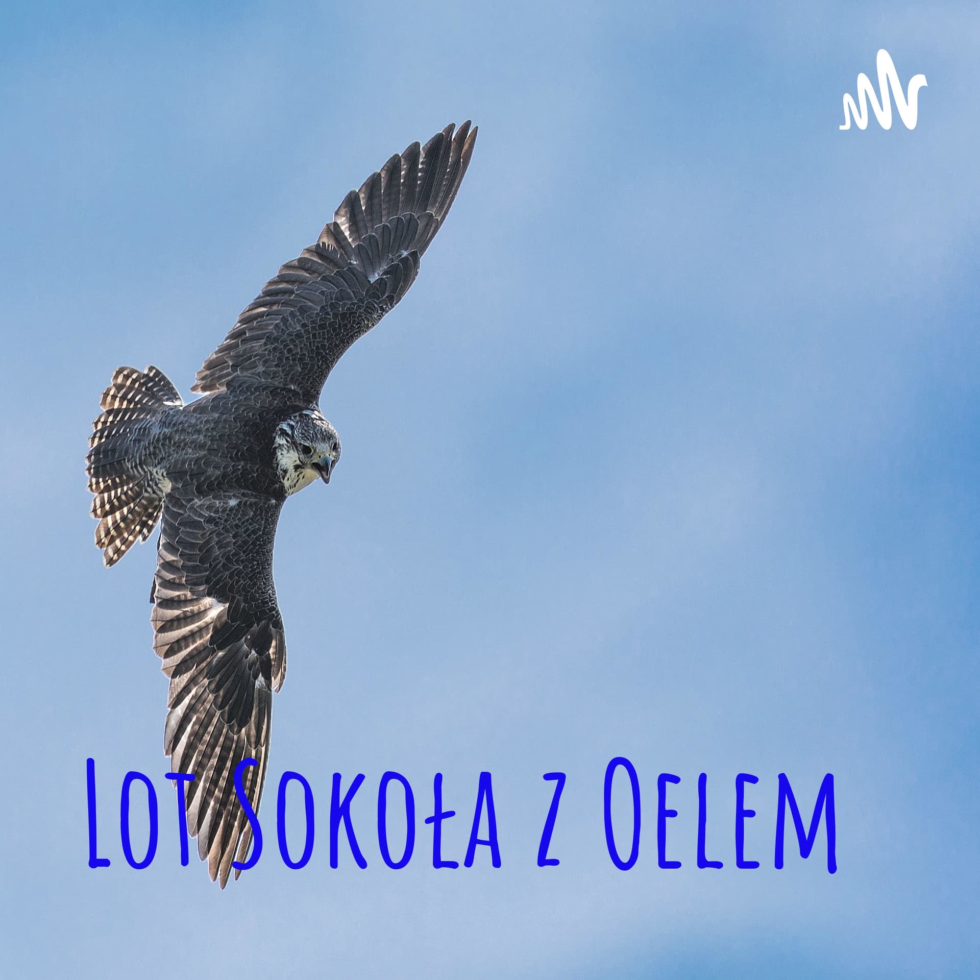 Lot Sokoła z Oelem - Podcasts