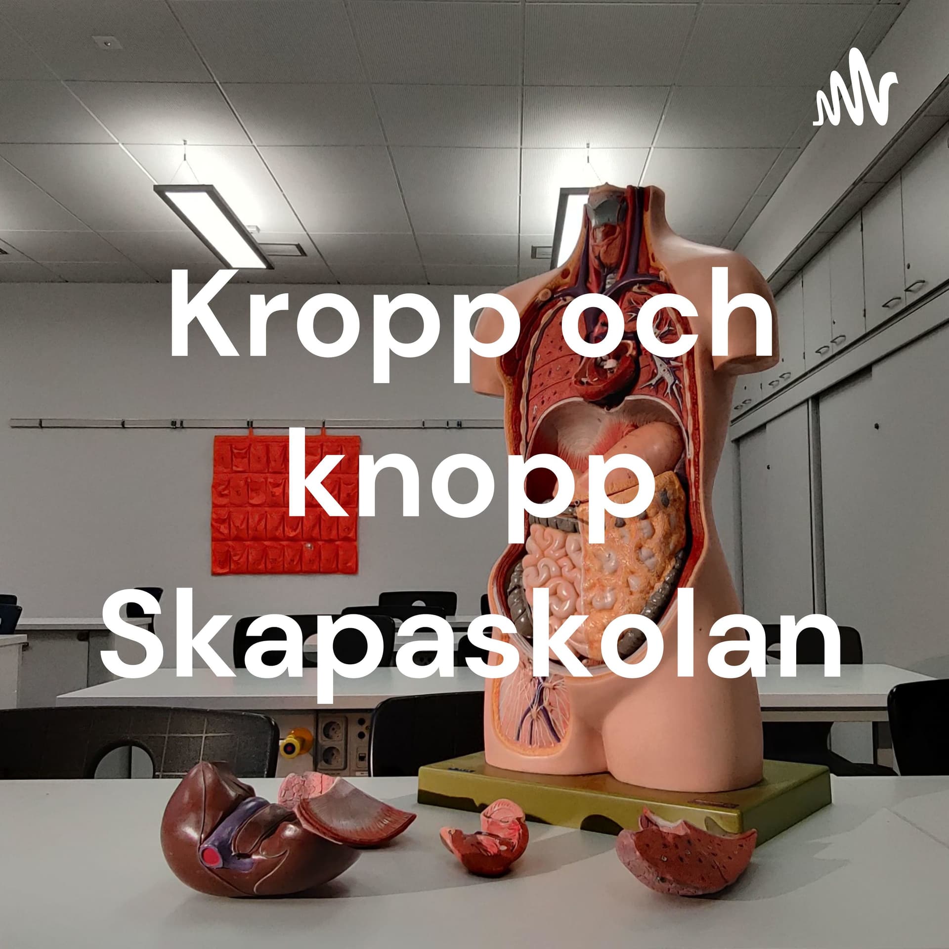 Kropp och knopp Skapaskolan - Podcasts