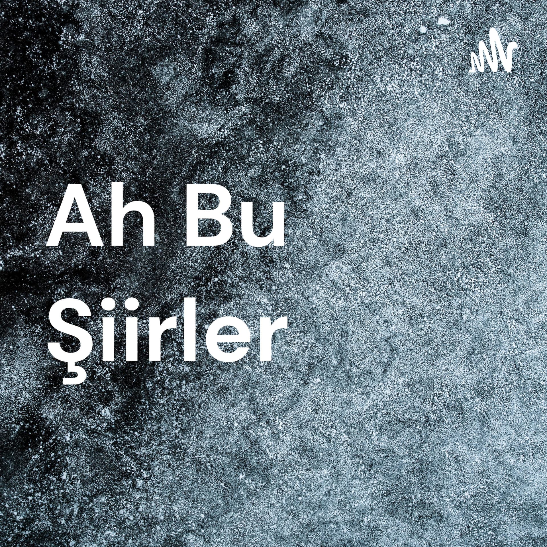 Ah Bu Şiirler