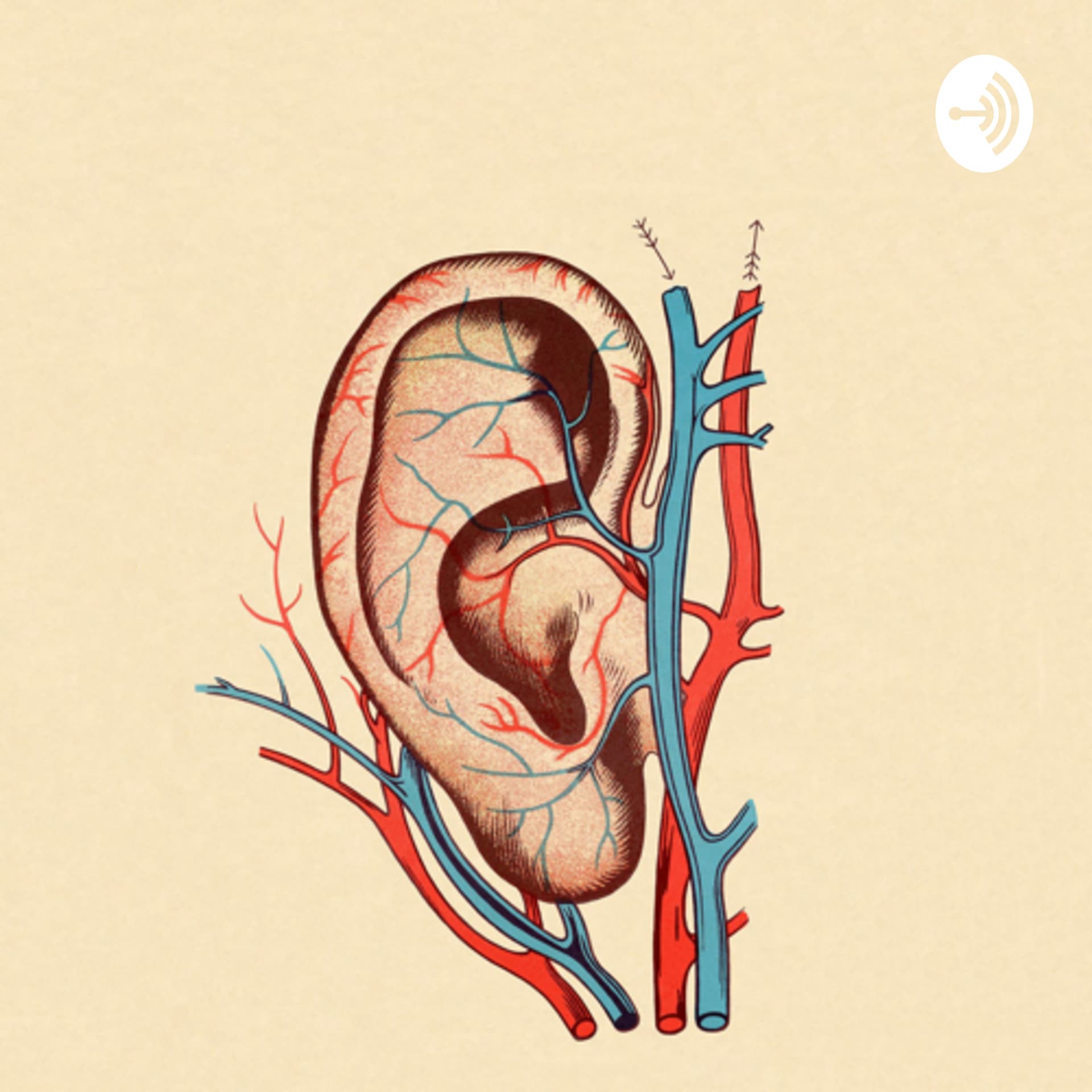 Daily Ambient - Podcasts