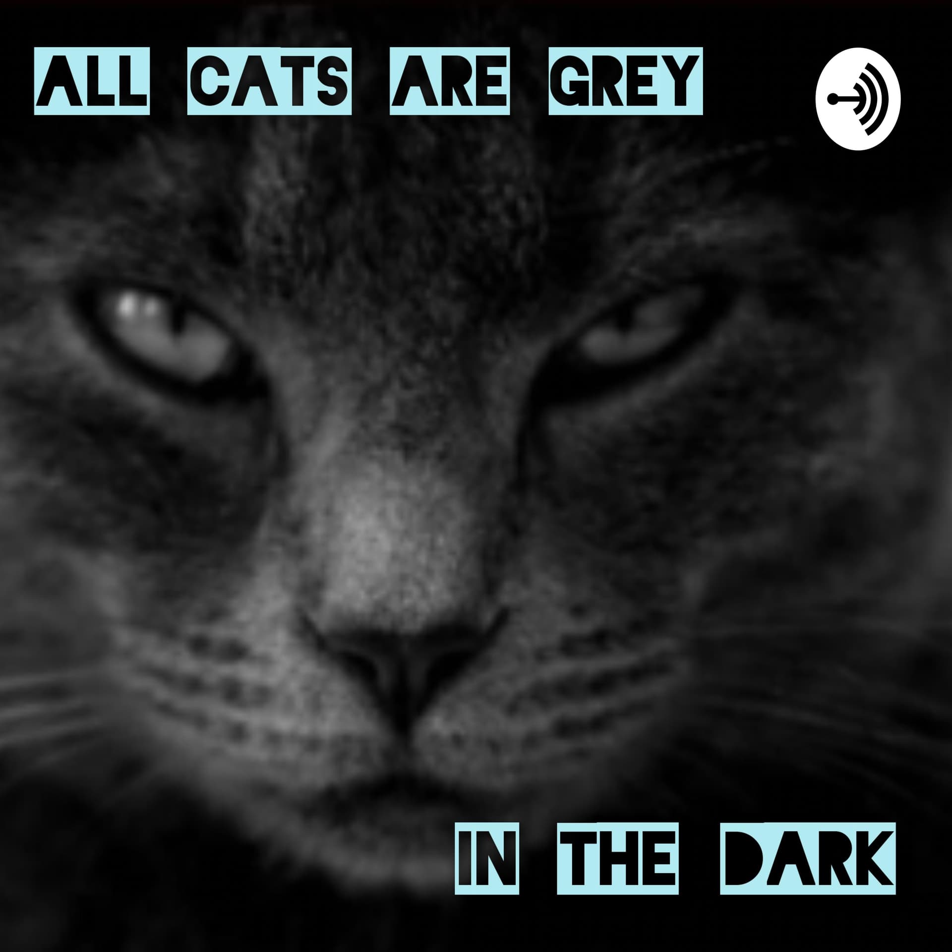 All Cats Are Grey In The Dark - Podcasts