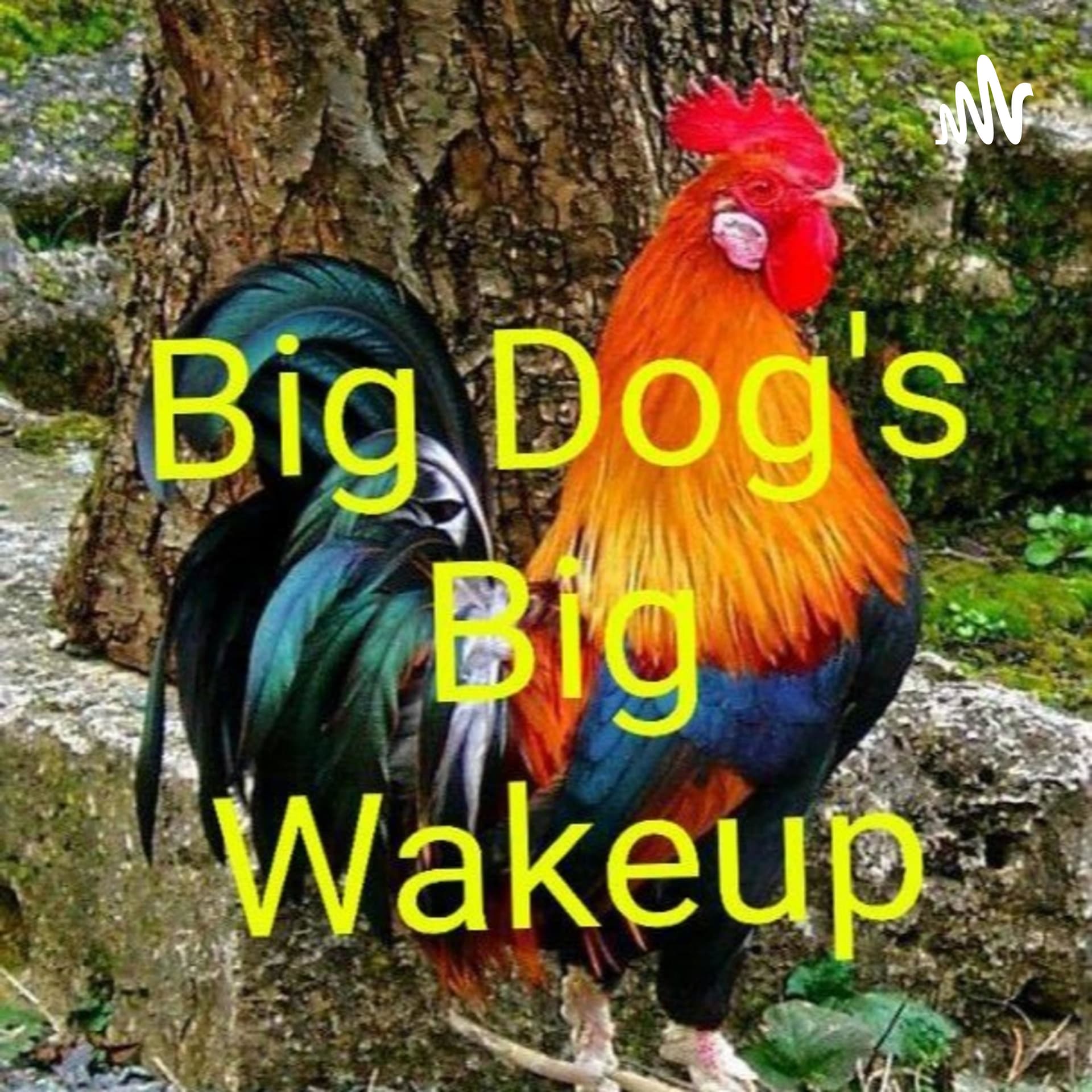 Big Wake Up - Podcasts