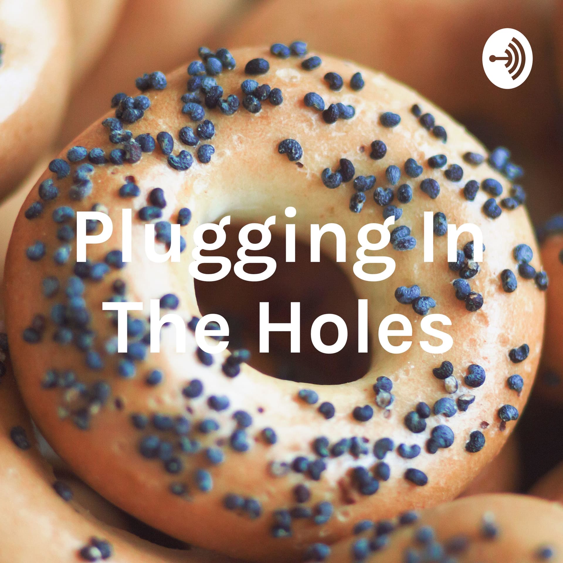Plugging In The Holes - Podcasts