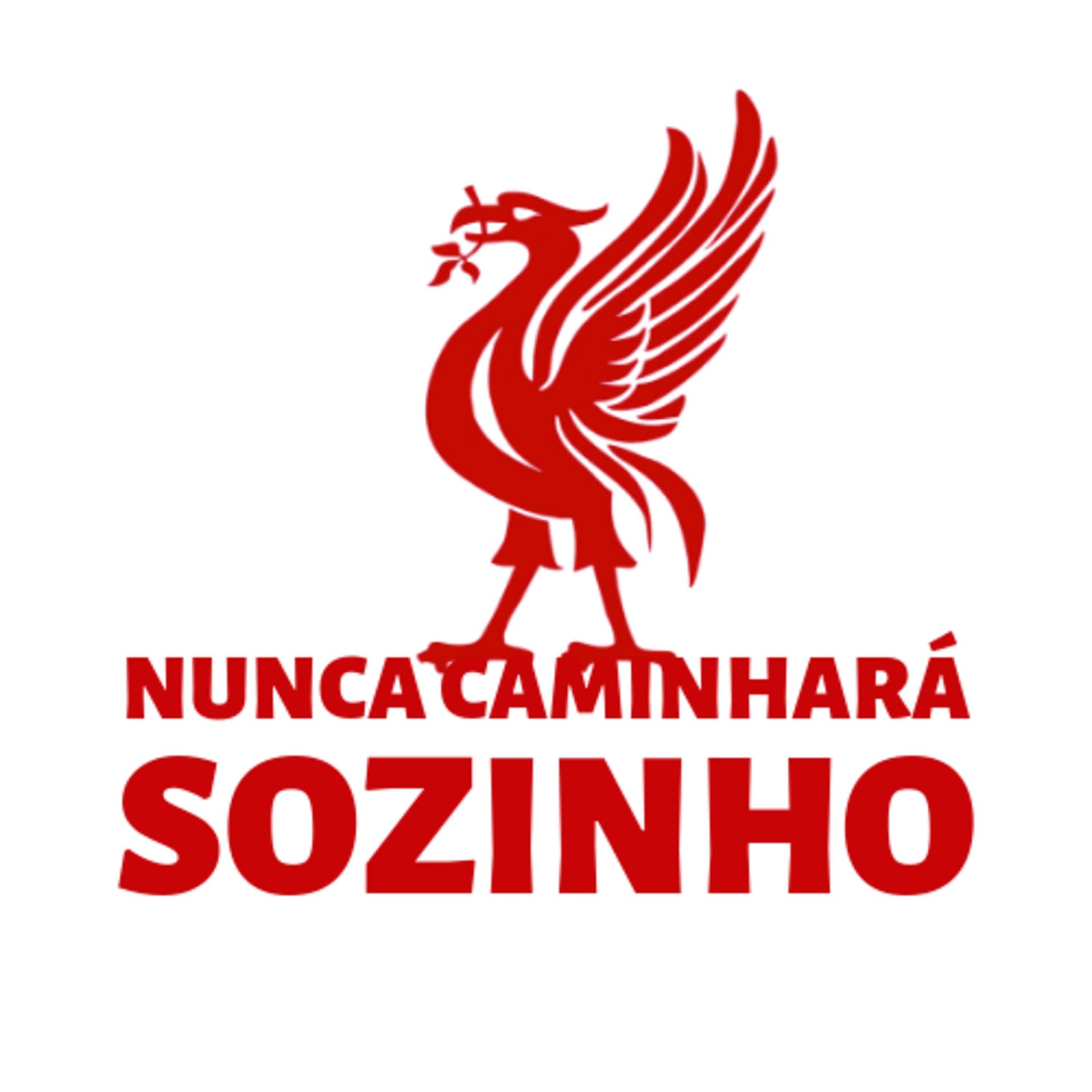 Nunca Caminhará Sozinho - Podcasts
