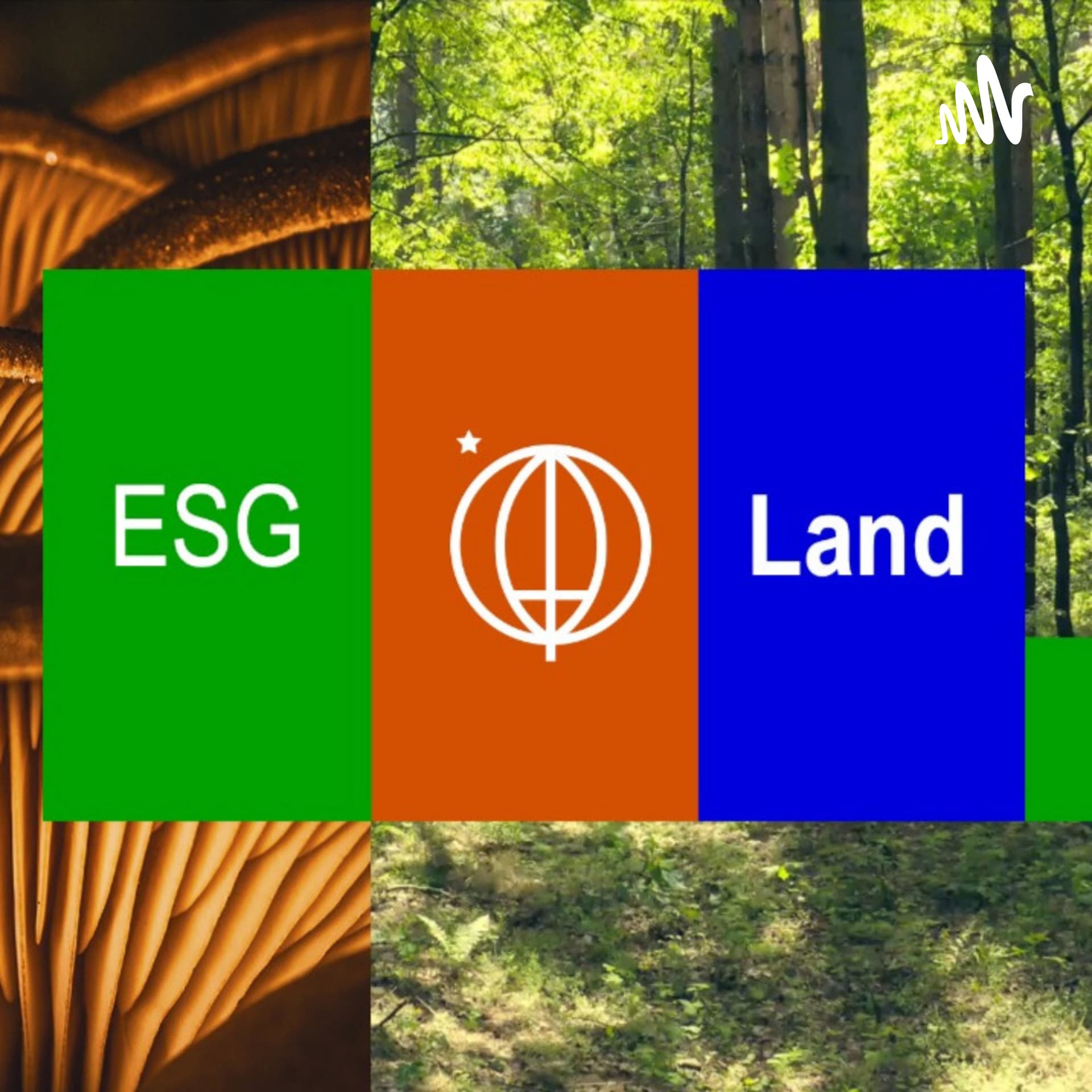 ESG LAND | TALKS - Podcasts