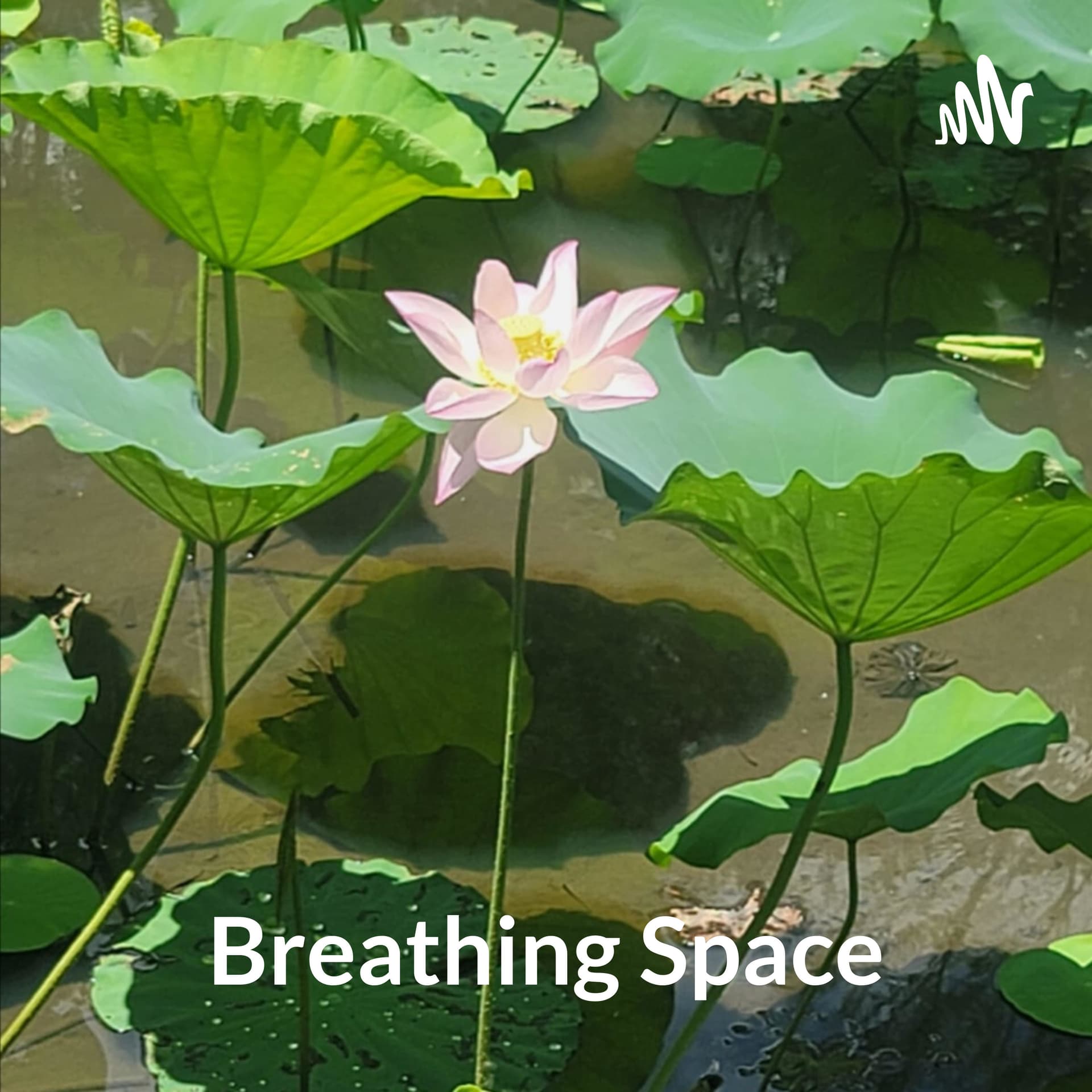 Breathing Space: Let's Activate Your Healing Journey - Podcasts