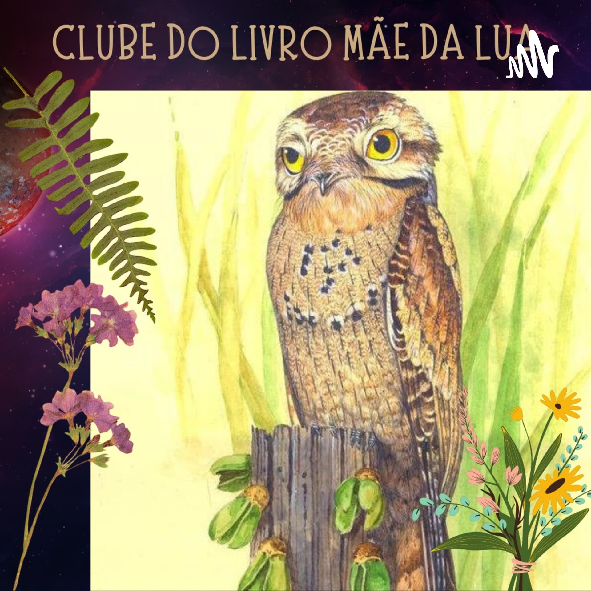 Clube Do Livro Mãe Da Lua - Podcasts
