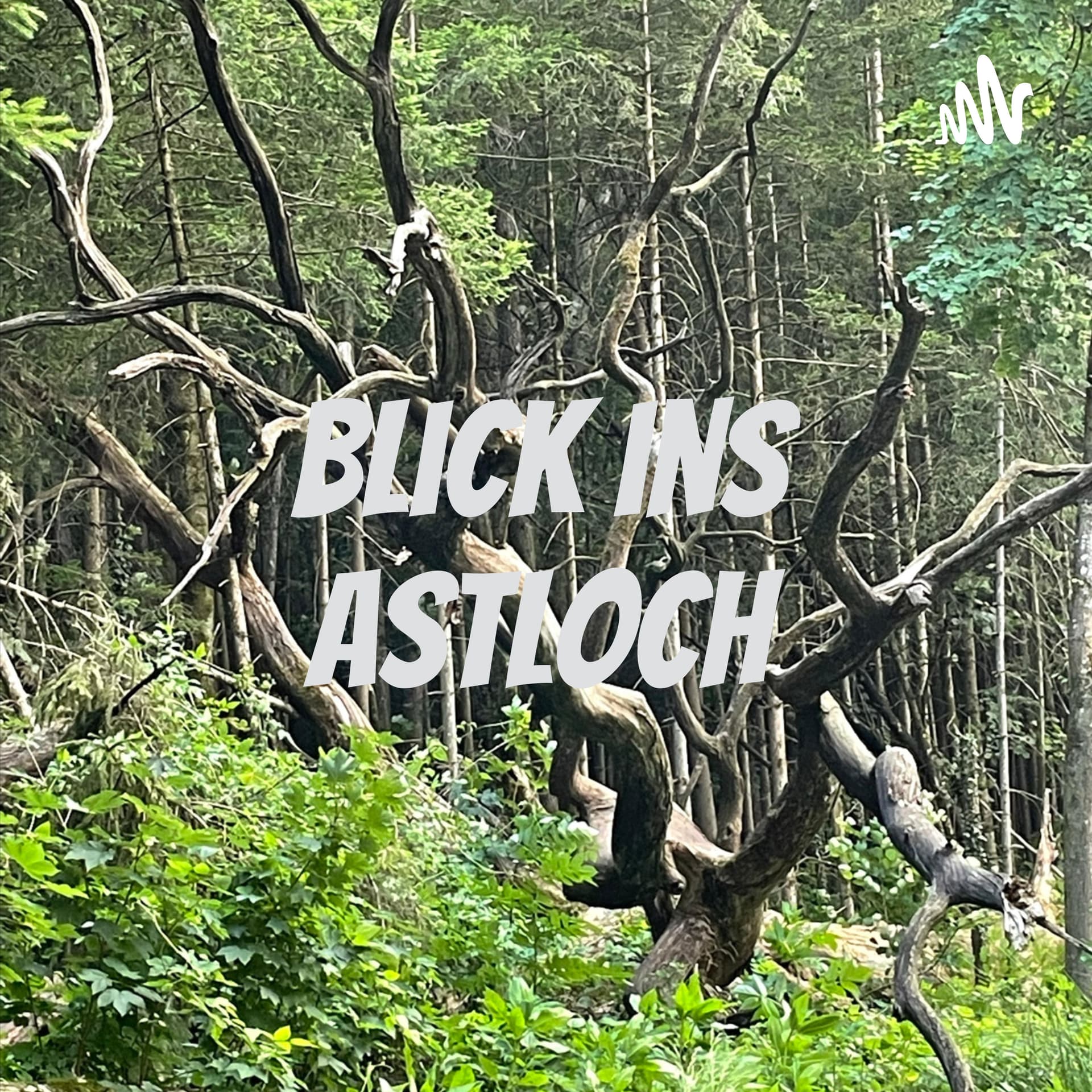 Blick ins Astloch - Podcasts
