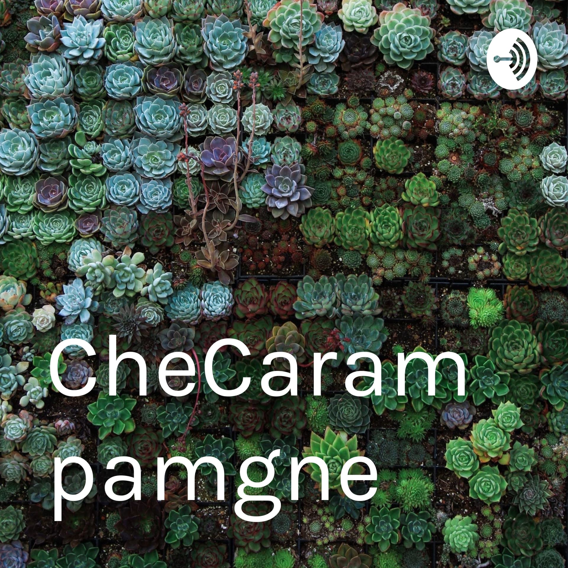 Hastalaproximaentrega - Podcasts