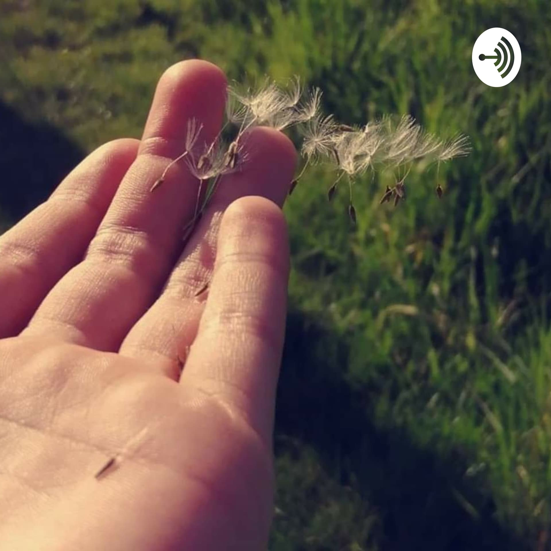 La Vie En Mieux - Podcasts